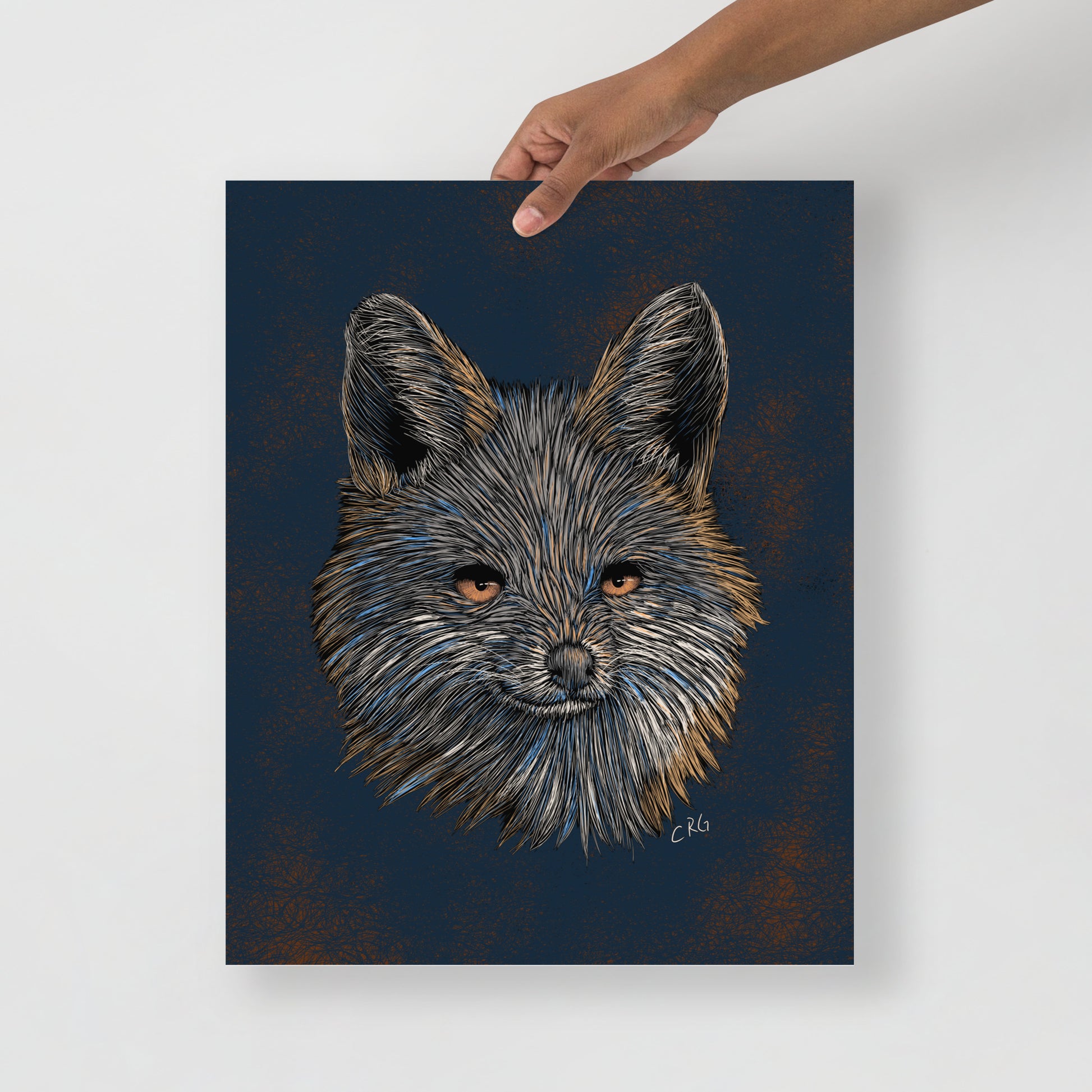 Gray Fox Art Print