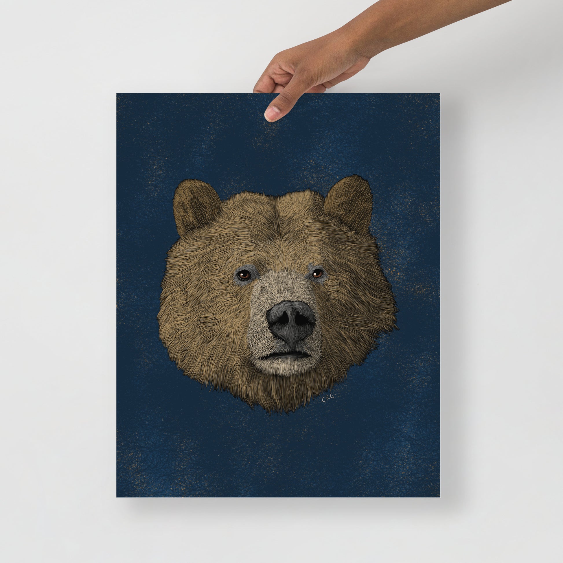 Grizzly Bear Art Print