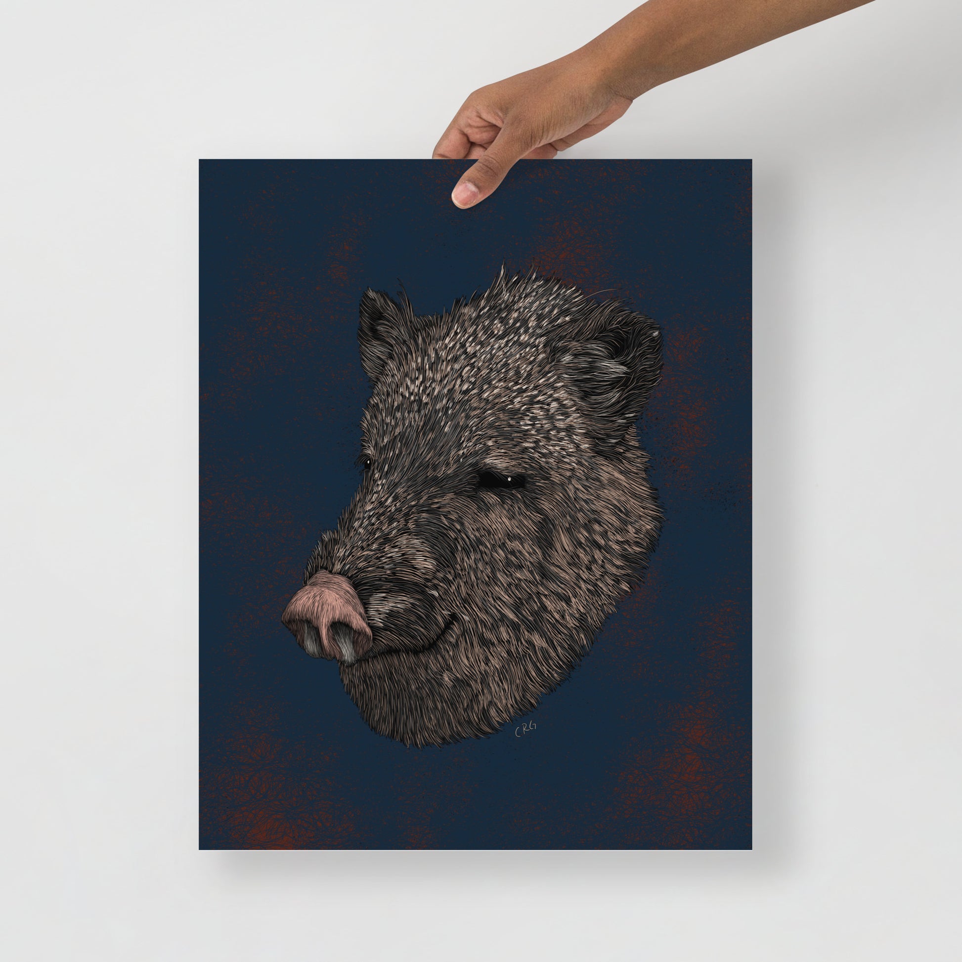 Javelina Art Print
