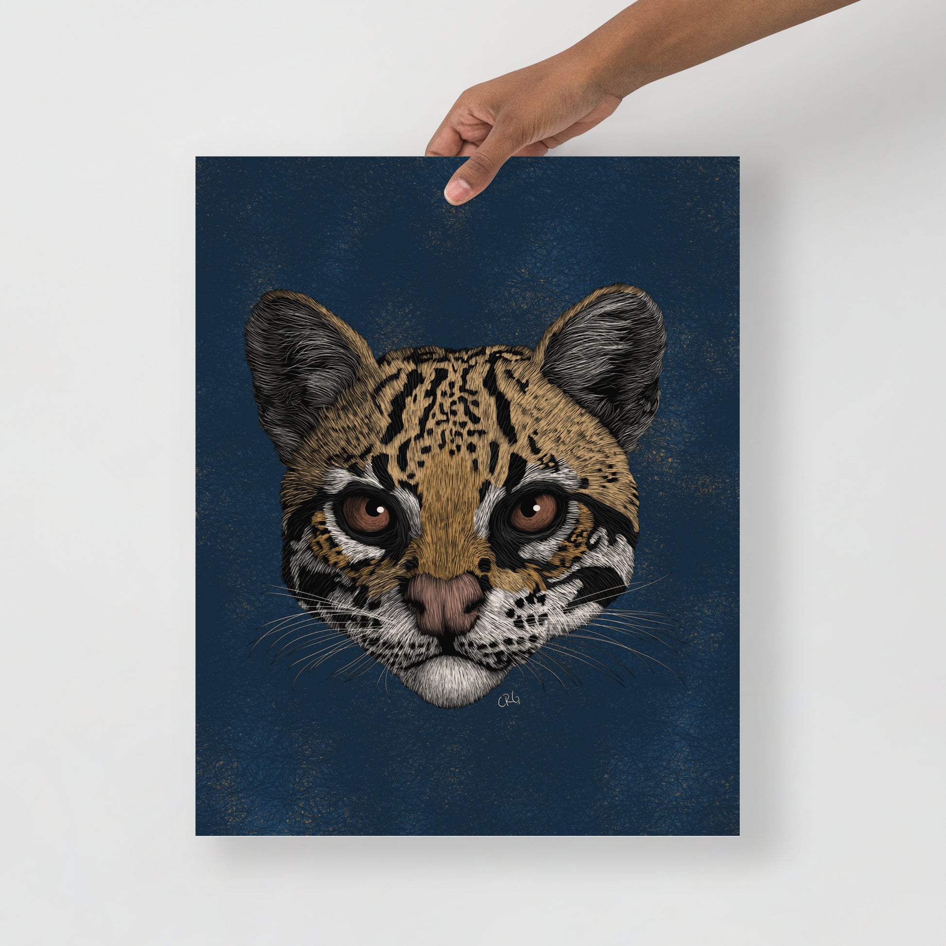 Ocelot Art Print