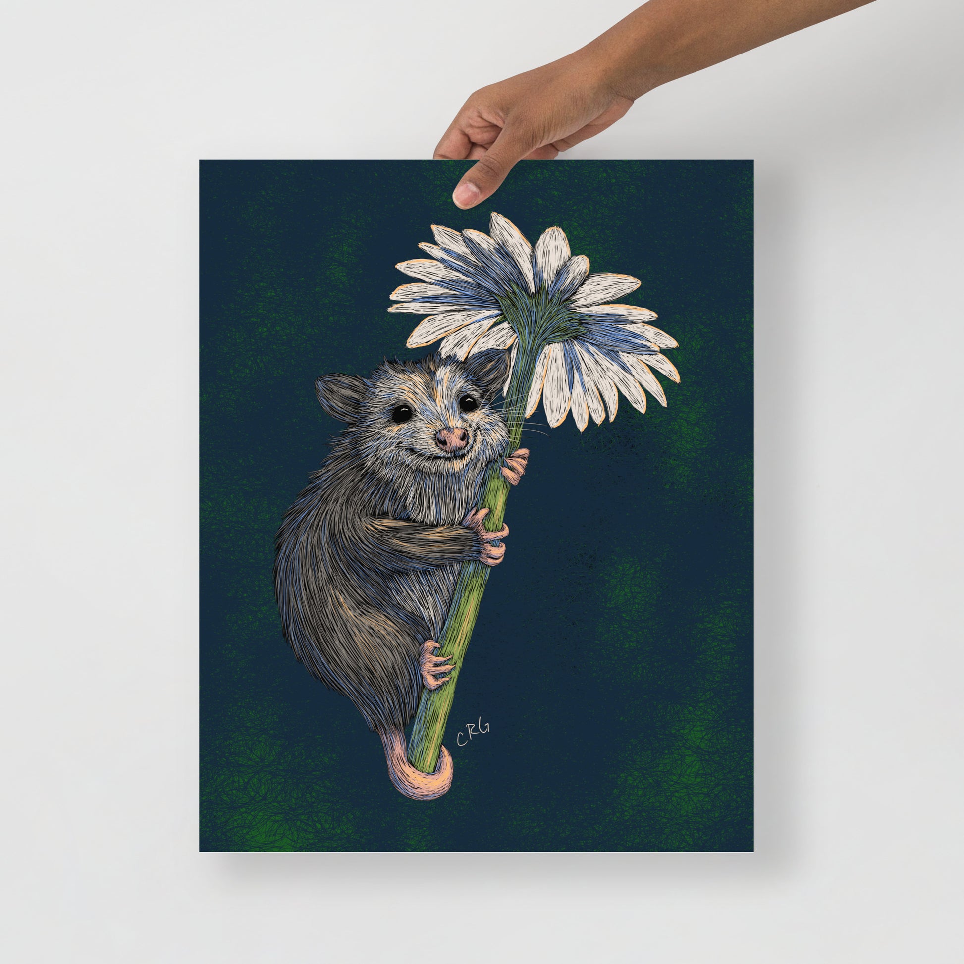 Opossum Hugging Daisy Art Print