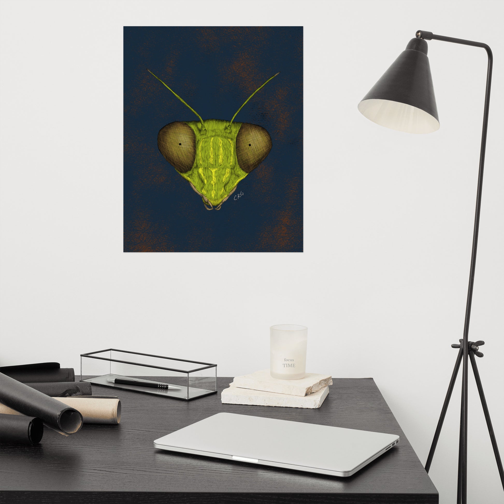 Praying Mantis Art Print