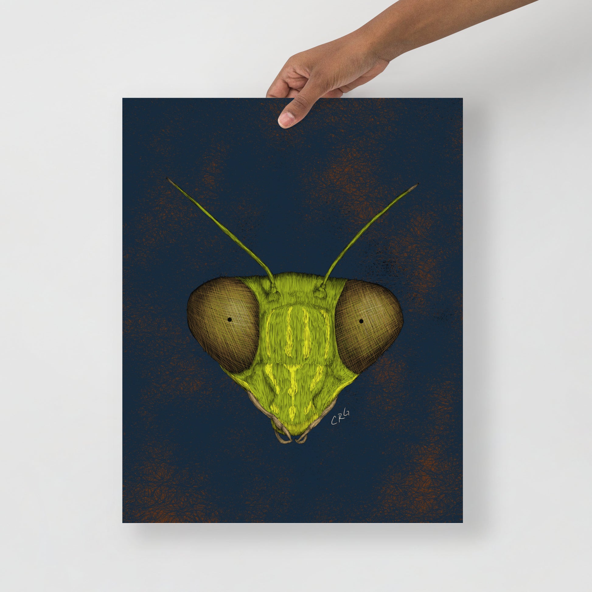 Praying Mantis Art Print