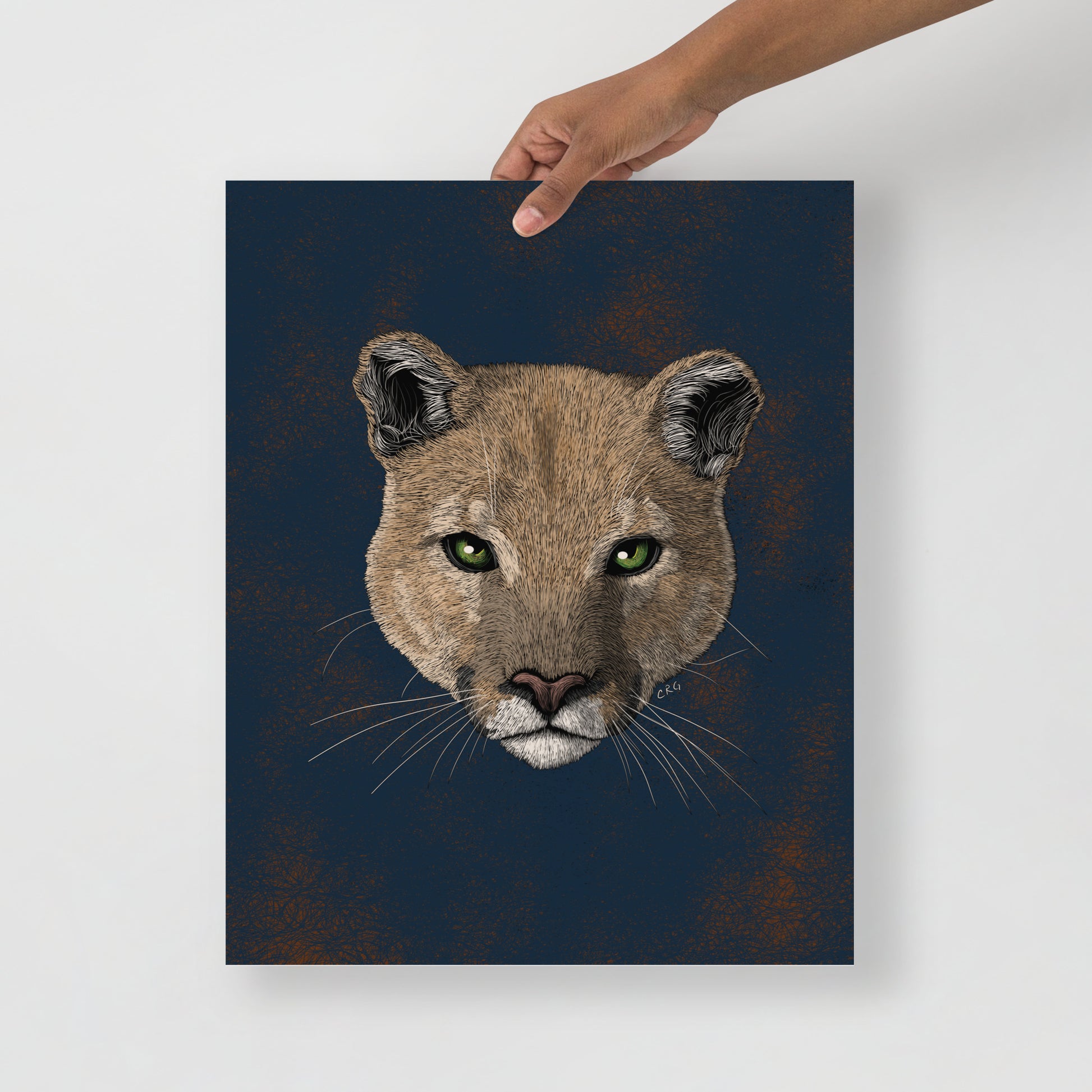 Mountain Lion Art Print