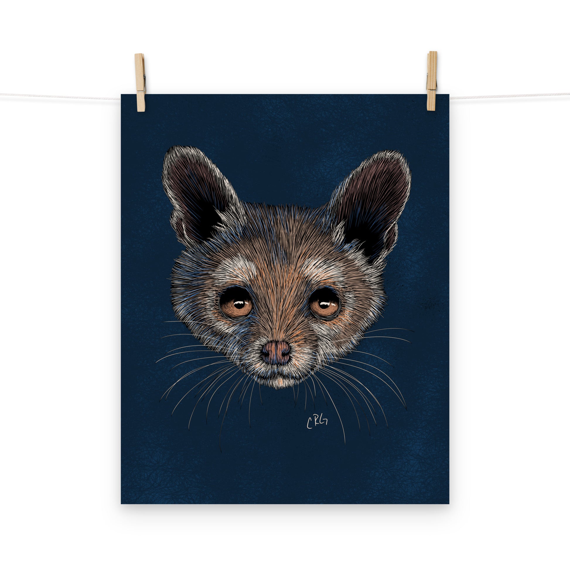 Ringtail Cat Art Print