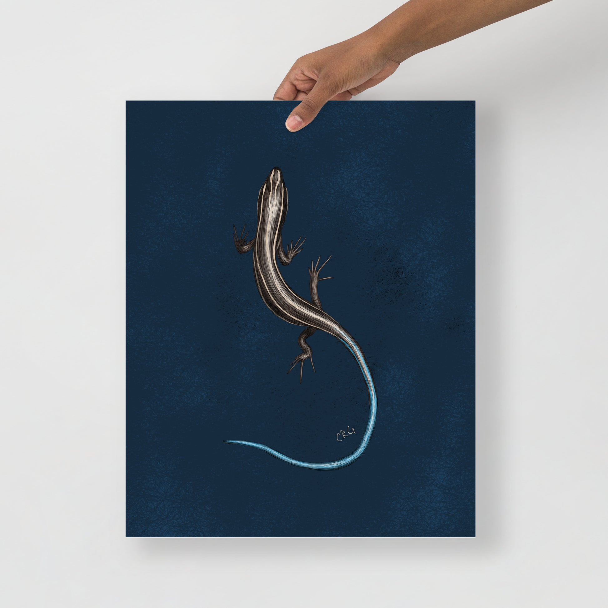 Skink Art Print