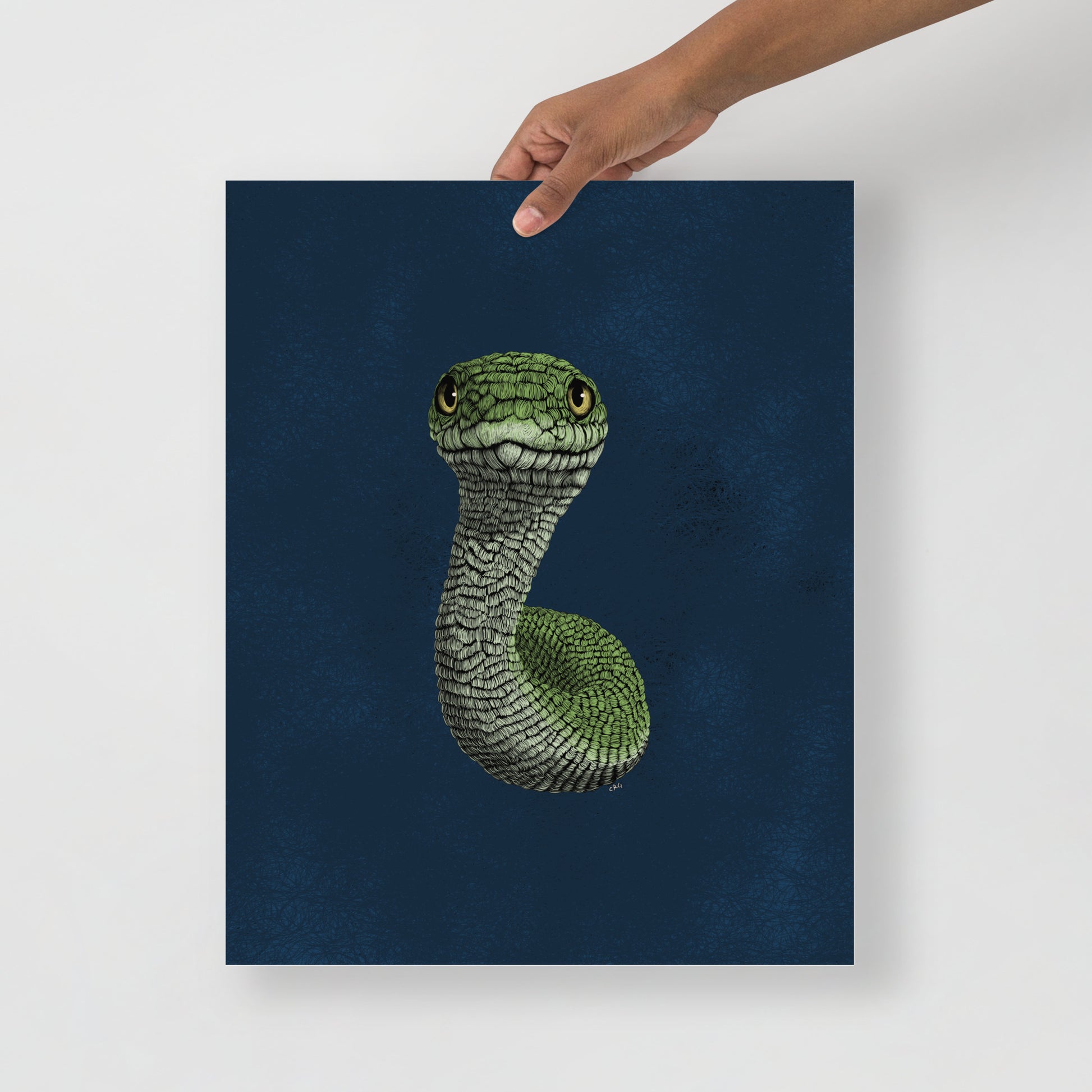 Smooth Green Snake Art Print