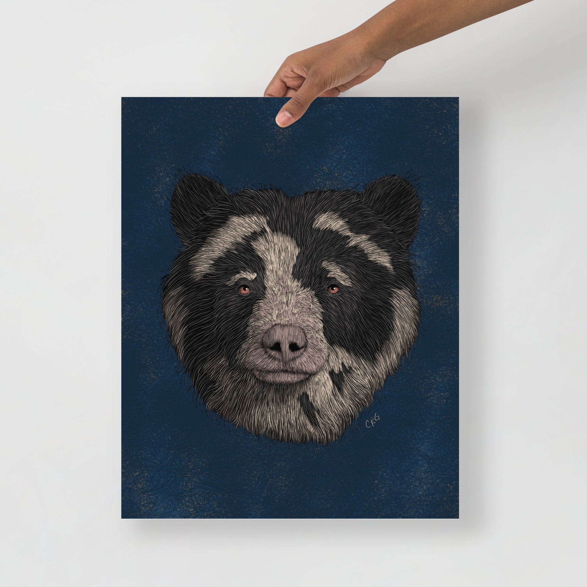 Spectacled Bear Art Print