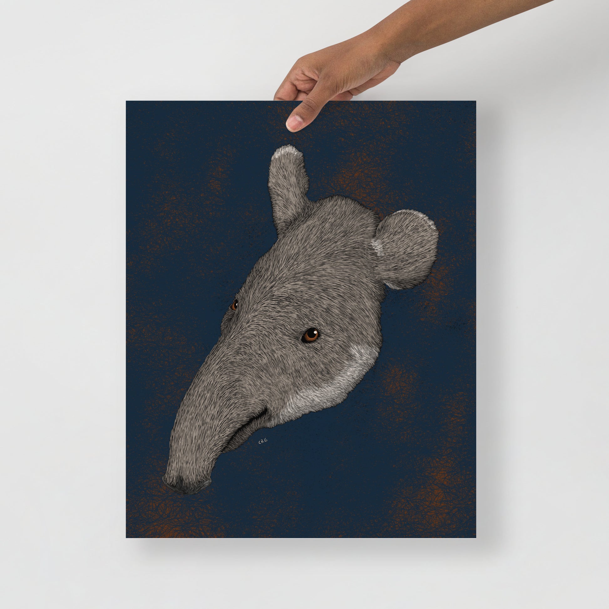 Tapir Art Print