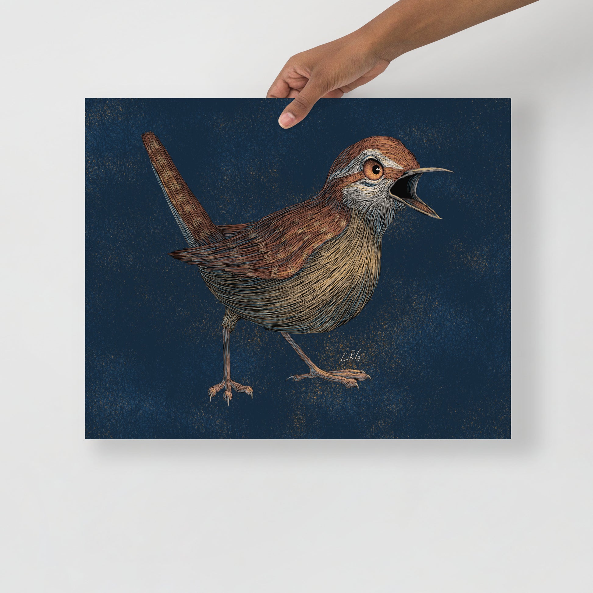 Angry Wren Art Print