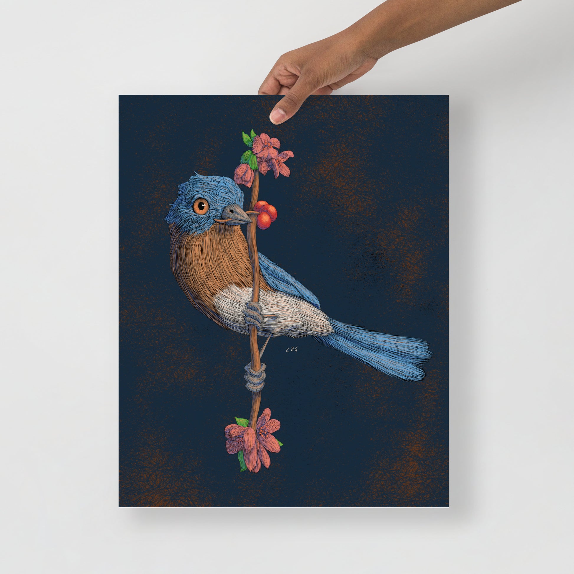 Bluebird Art Print
