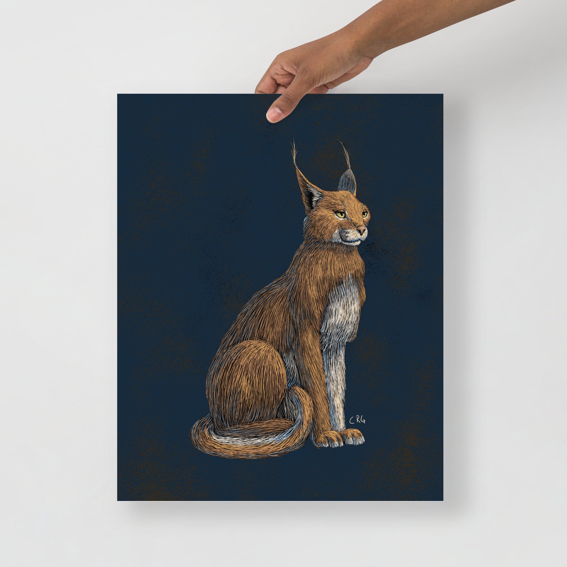 Regal Caracal Art Print