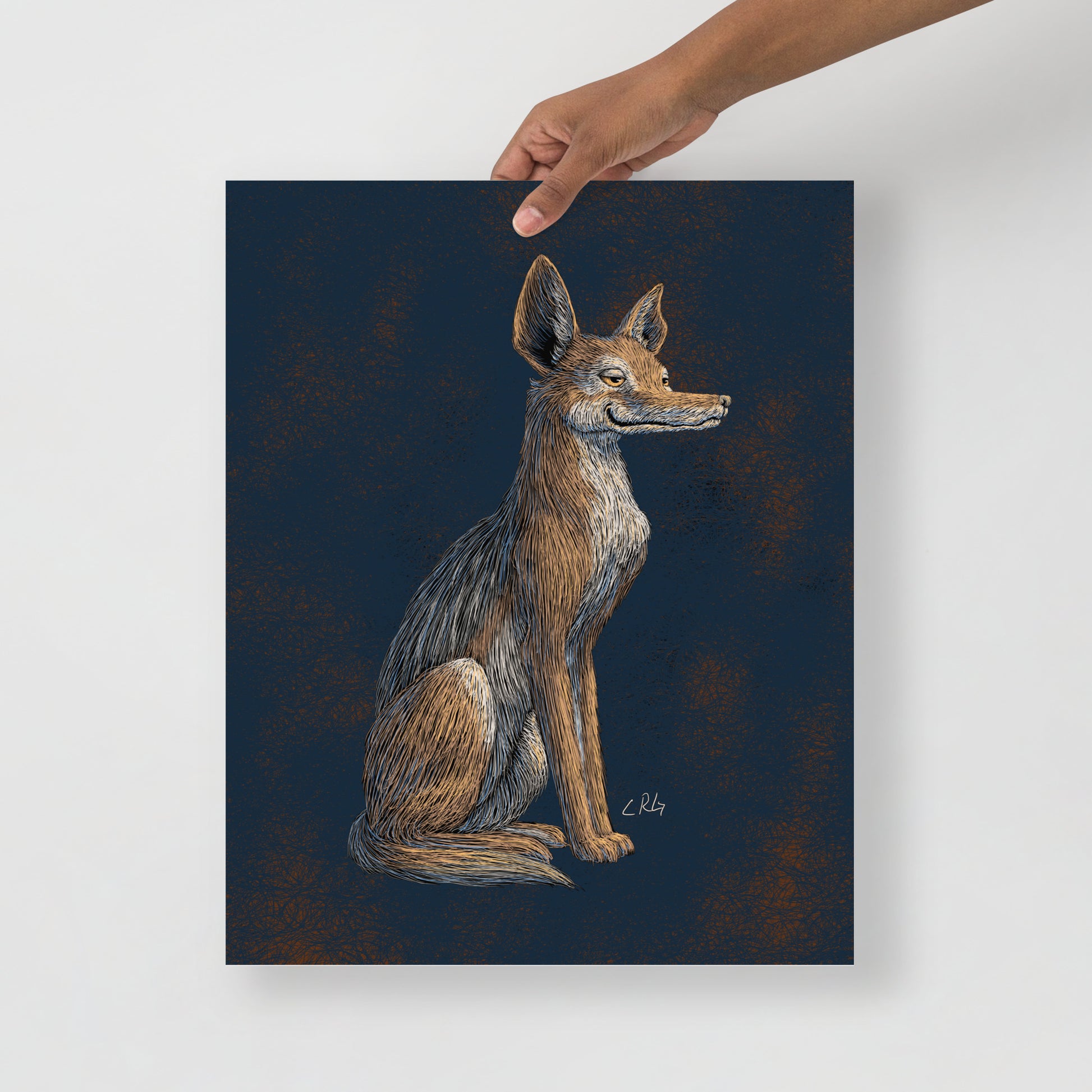 Savvy Jackal Art Print