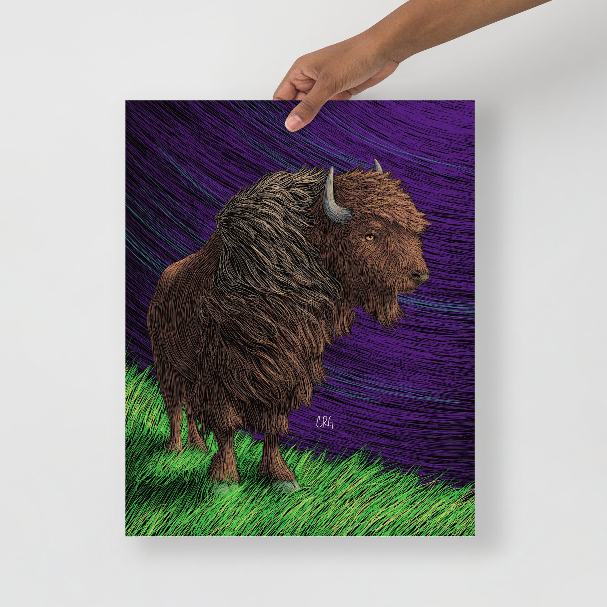 Bison Art Print