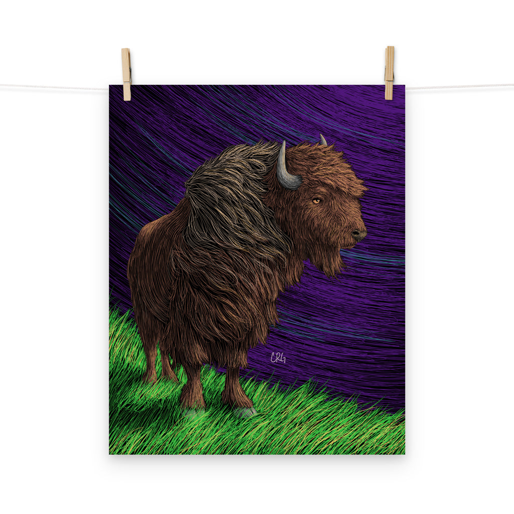 Bison Art Print
