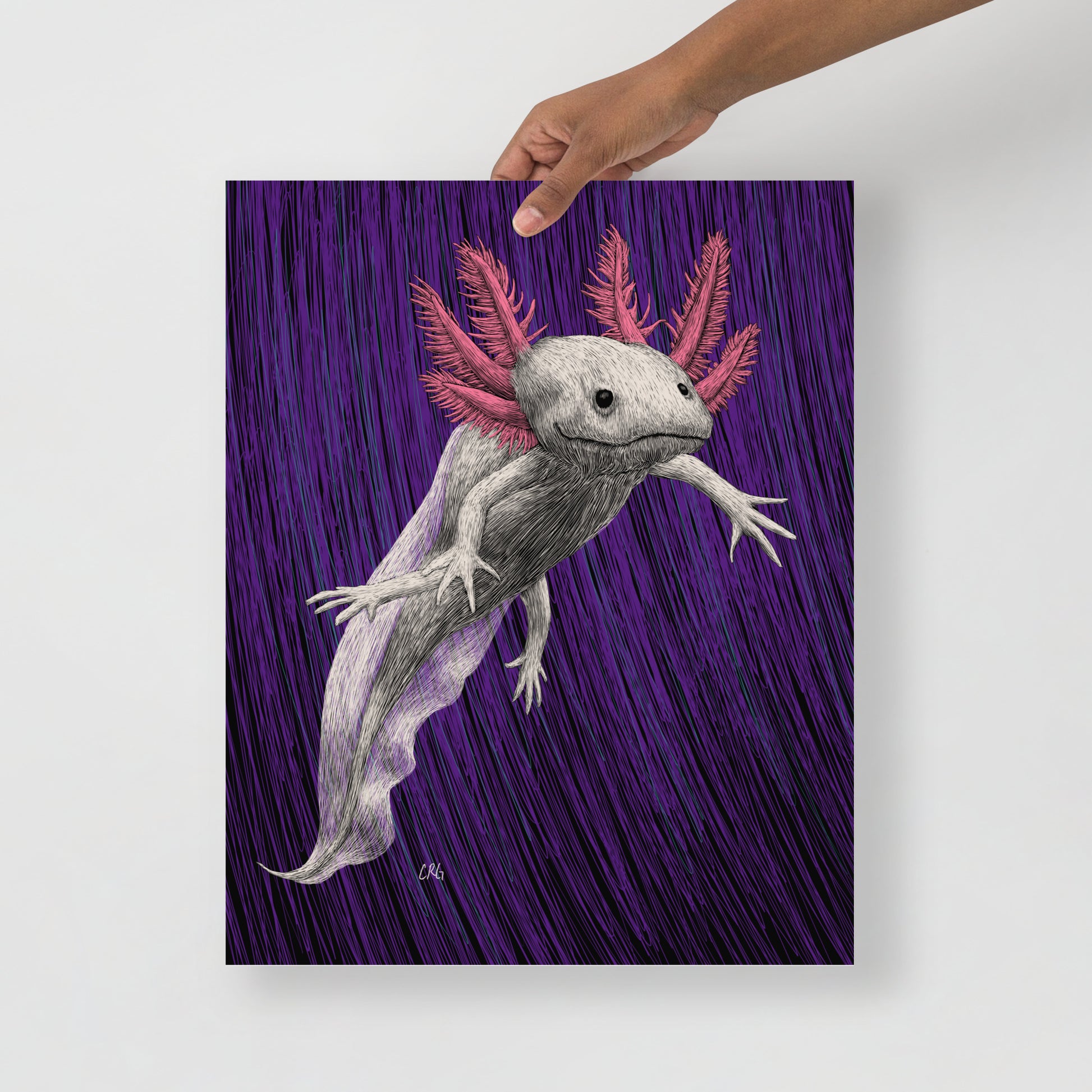 Axolotl Art Print