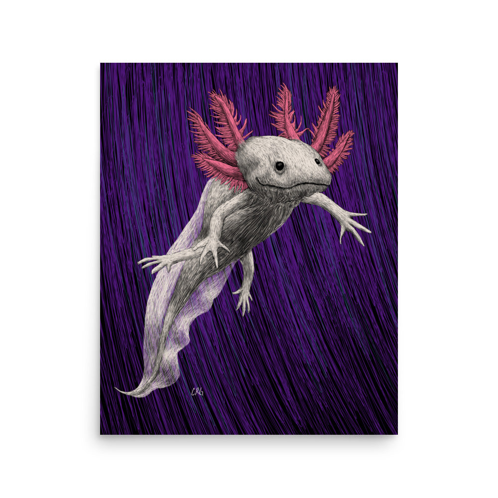 Axolotl Art Print