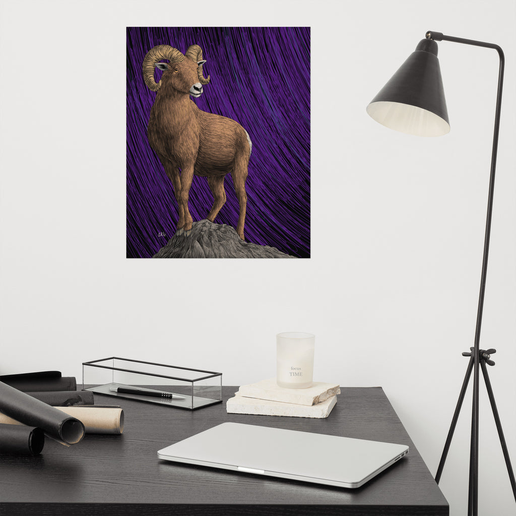 Bighorn Sheep Art Print