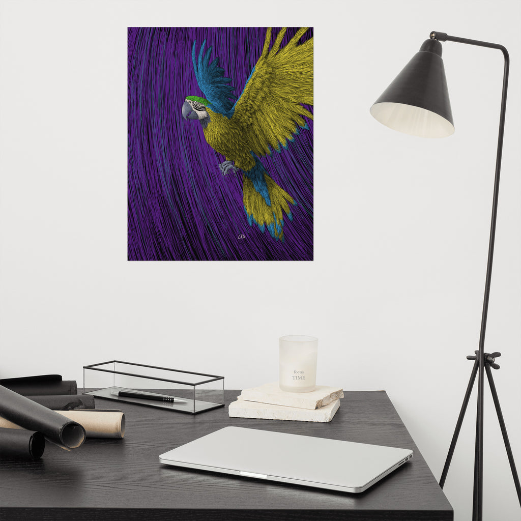 Macaw Art Print