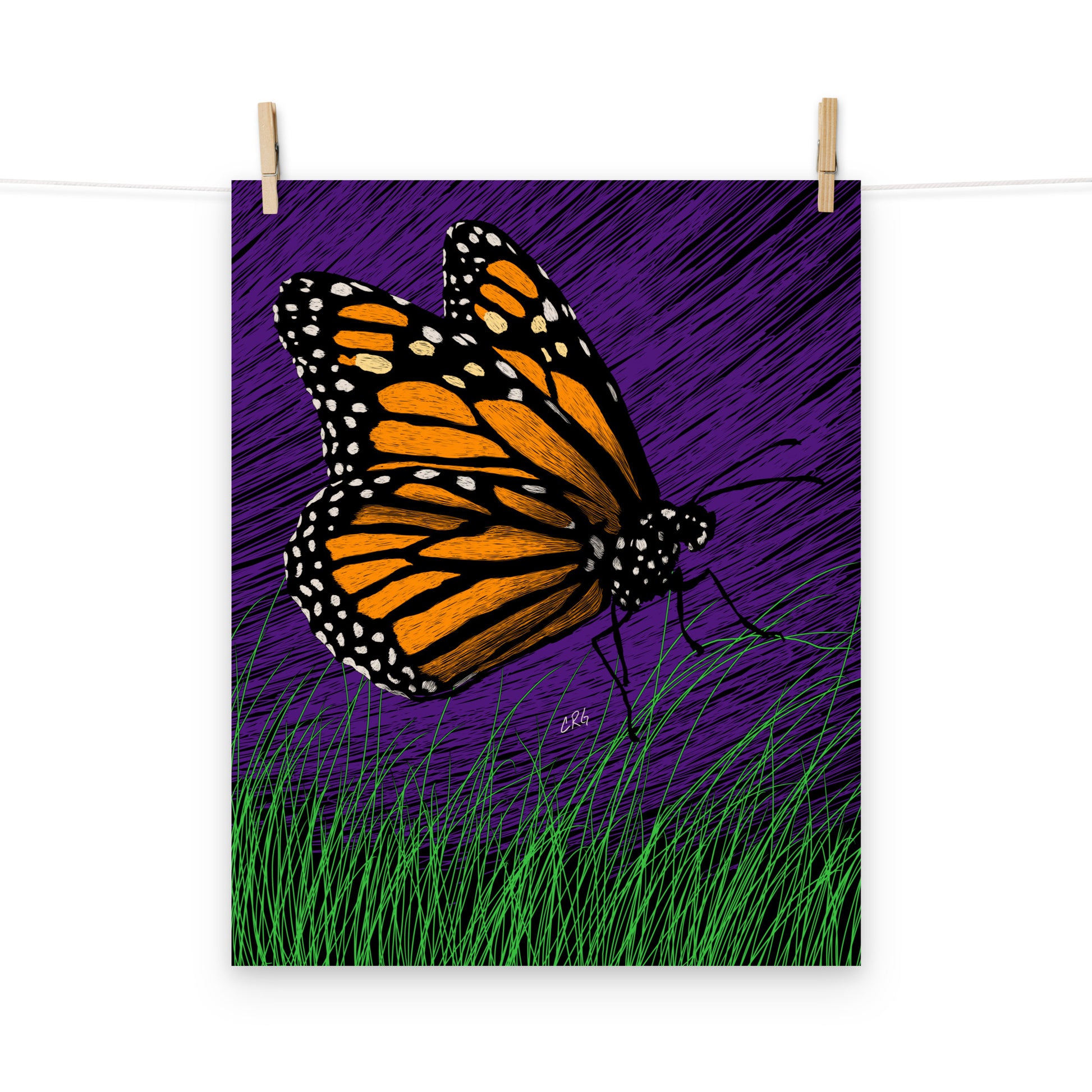 Butterfly Art Print