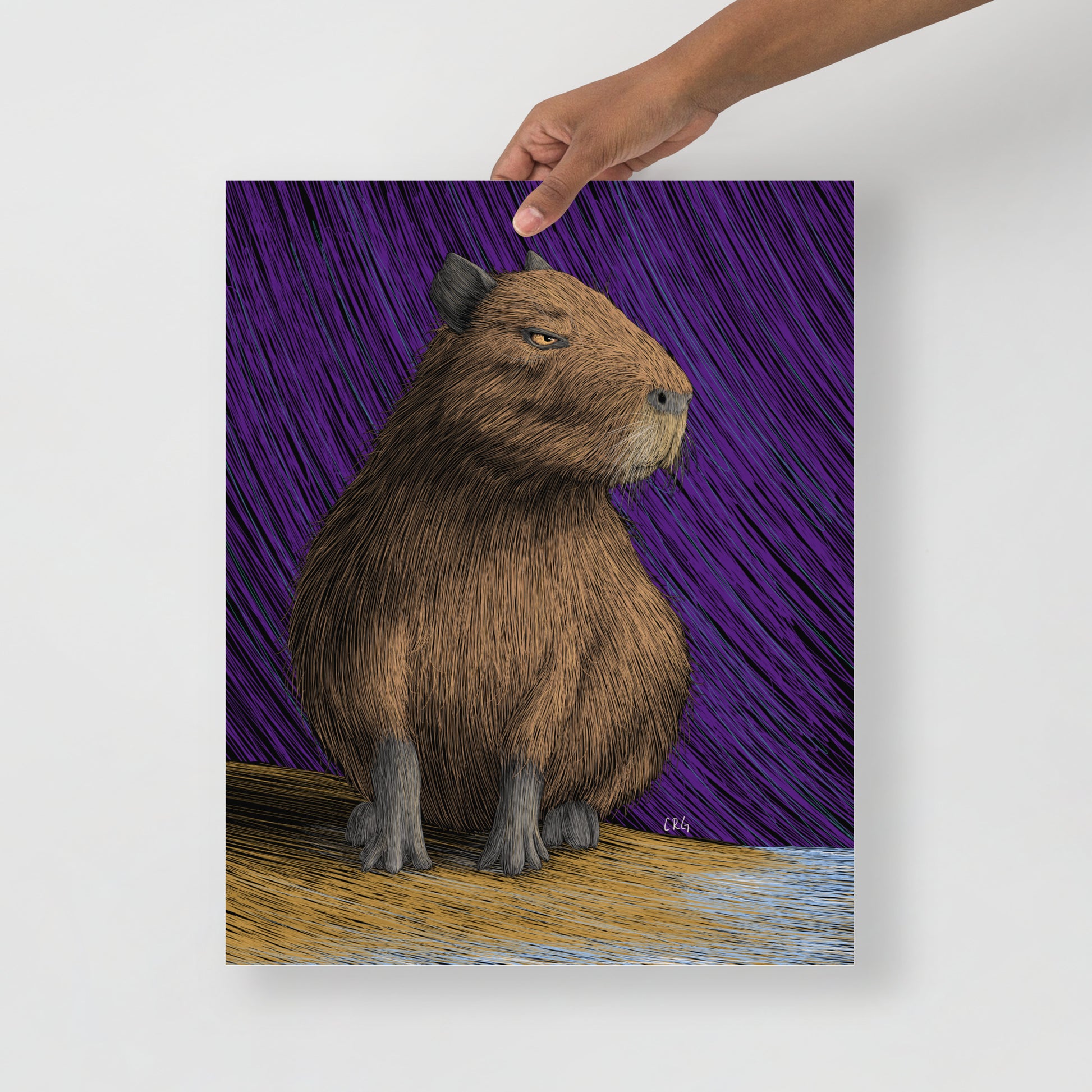 Capybara Art Print
