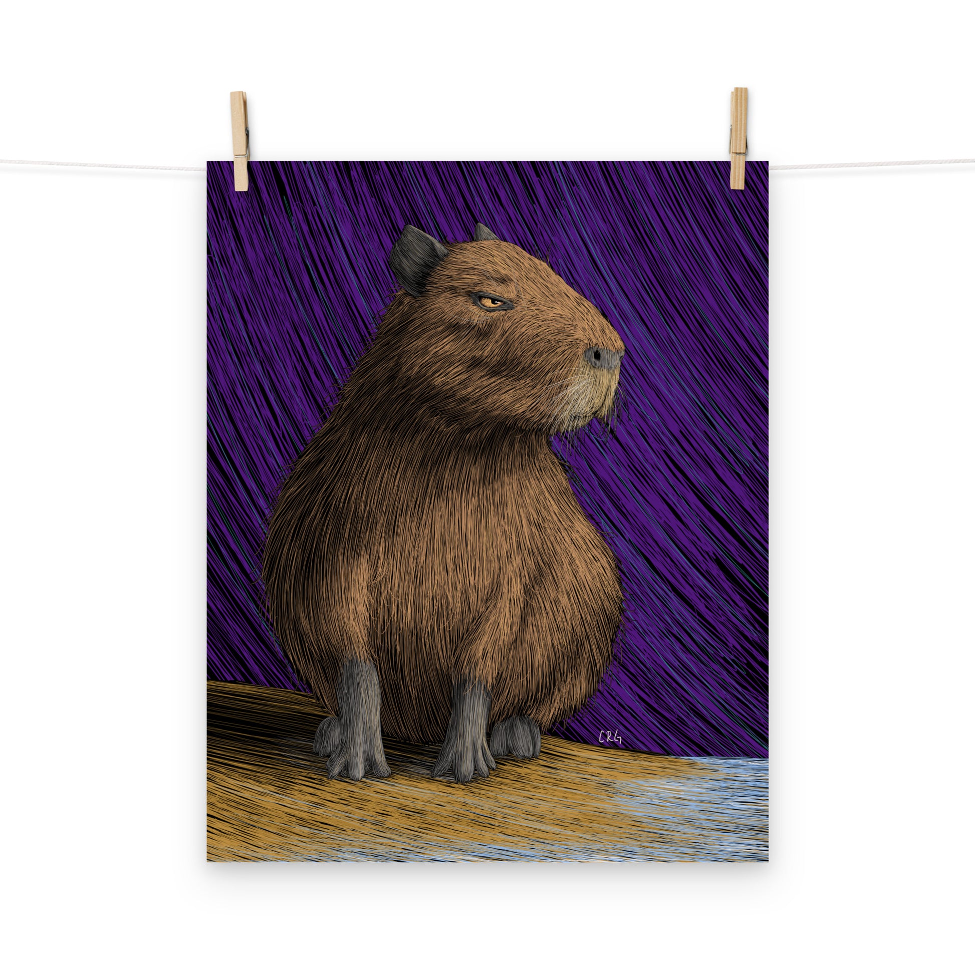 Capybara Art Print