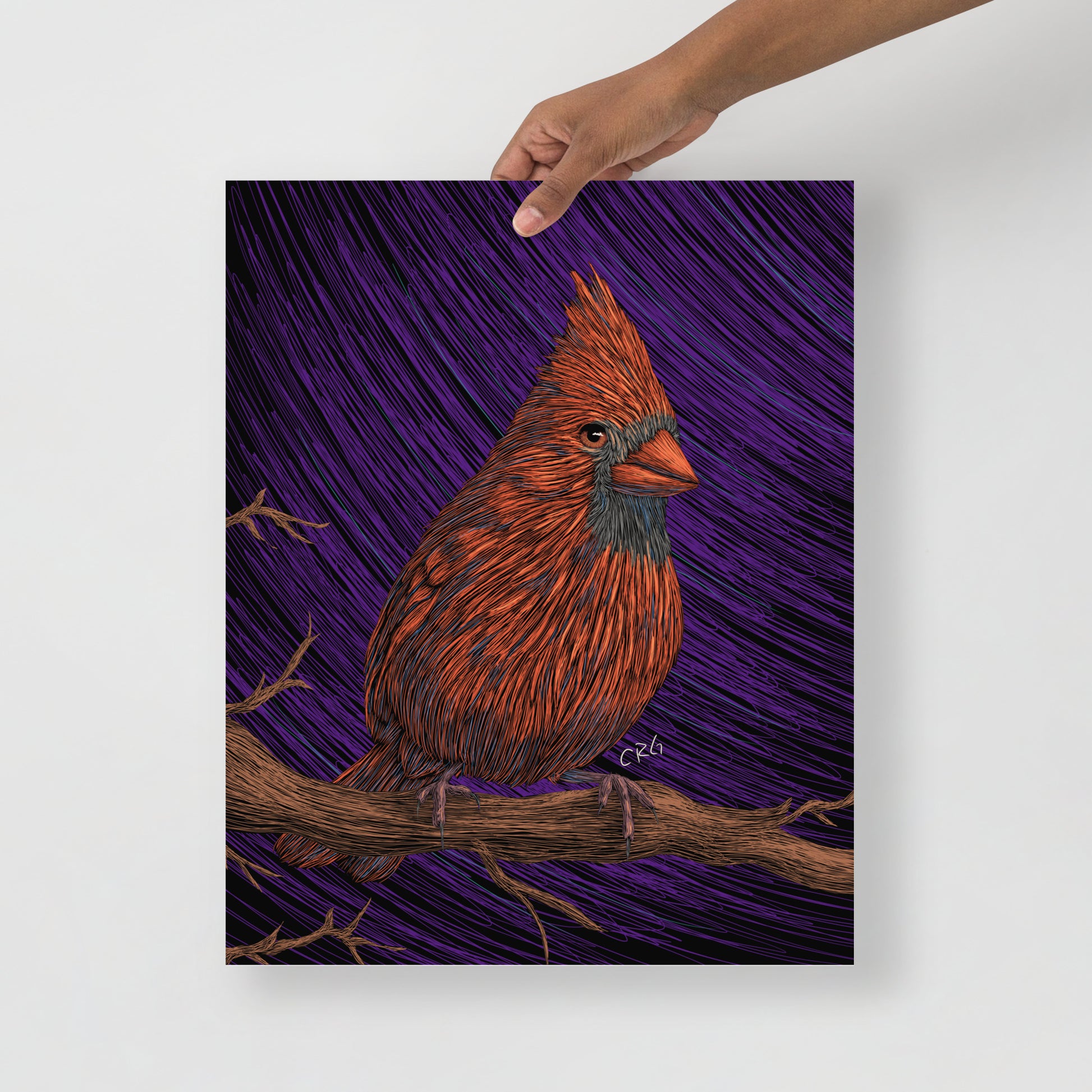Cardinal Art Print