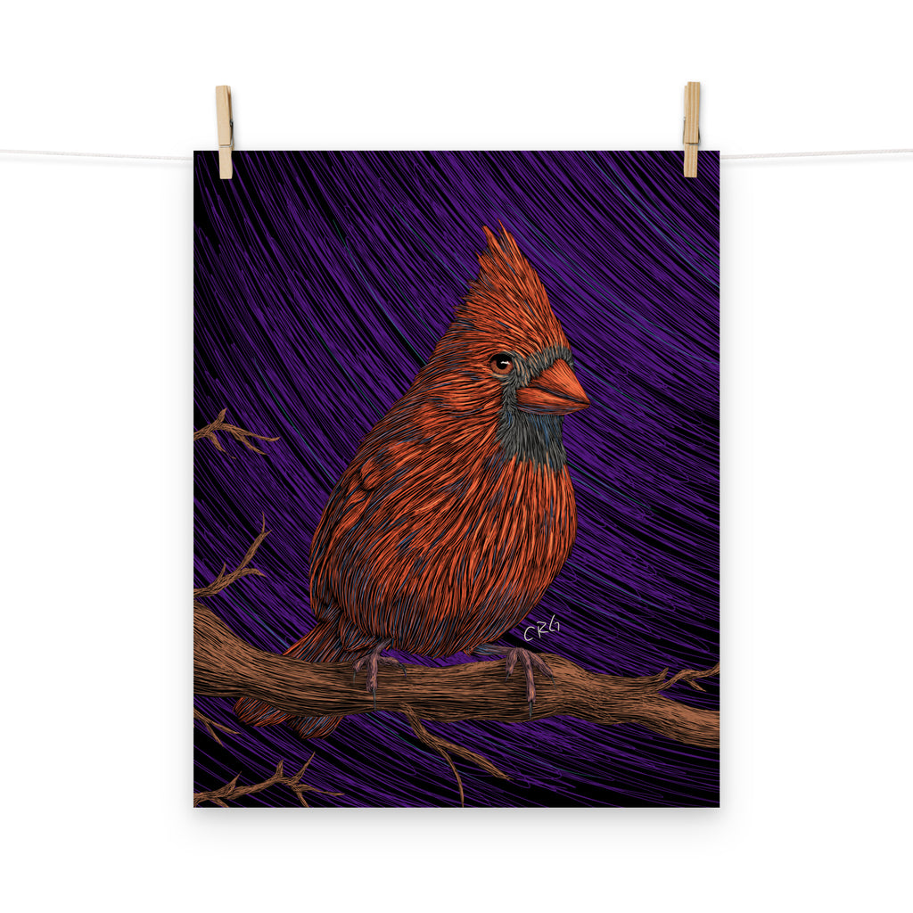 Cardinal Art Print