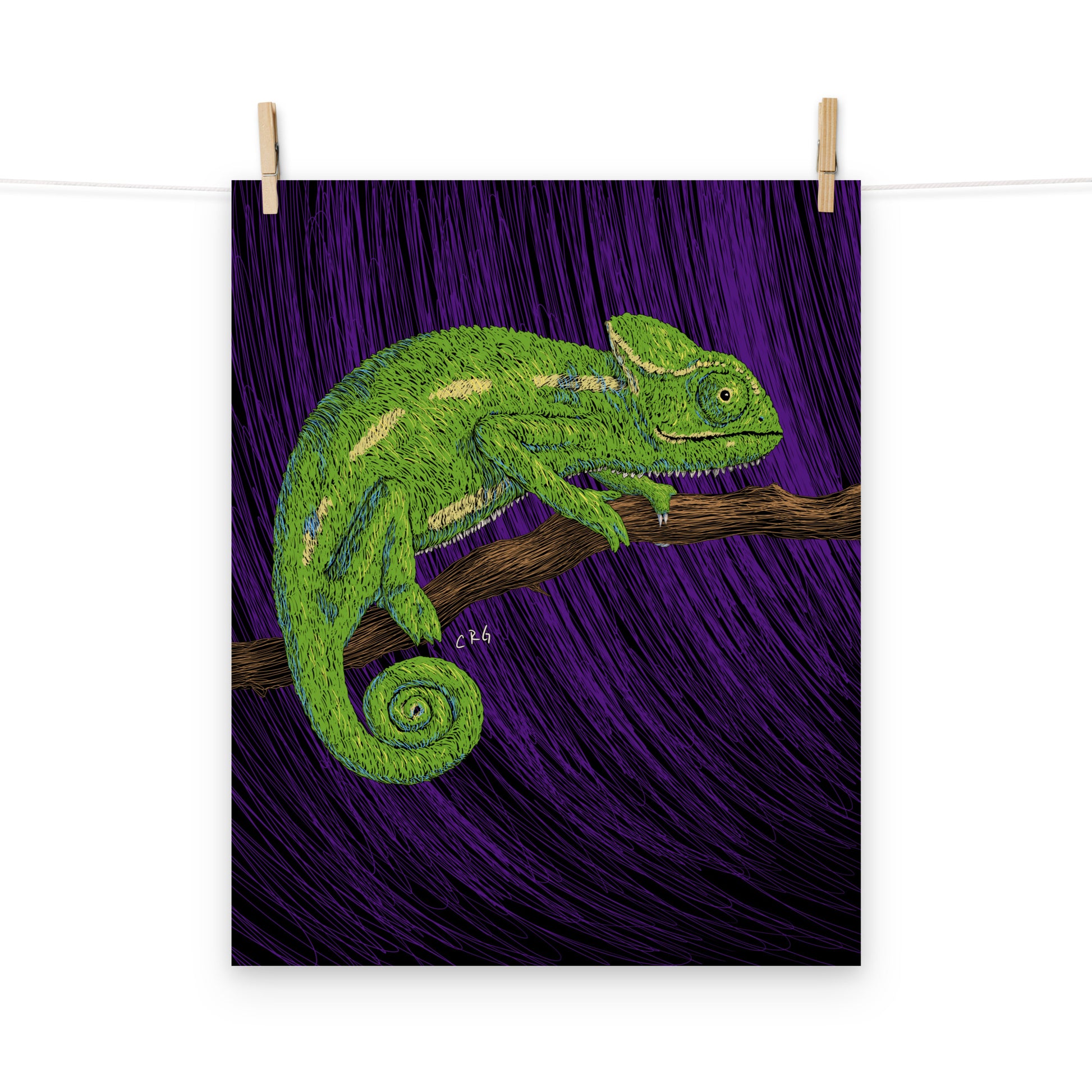 Chameleon Art Print