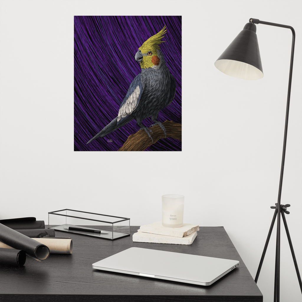 Cockatiel Art Print