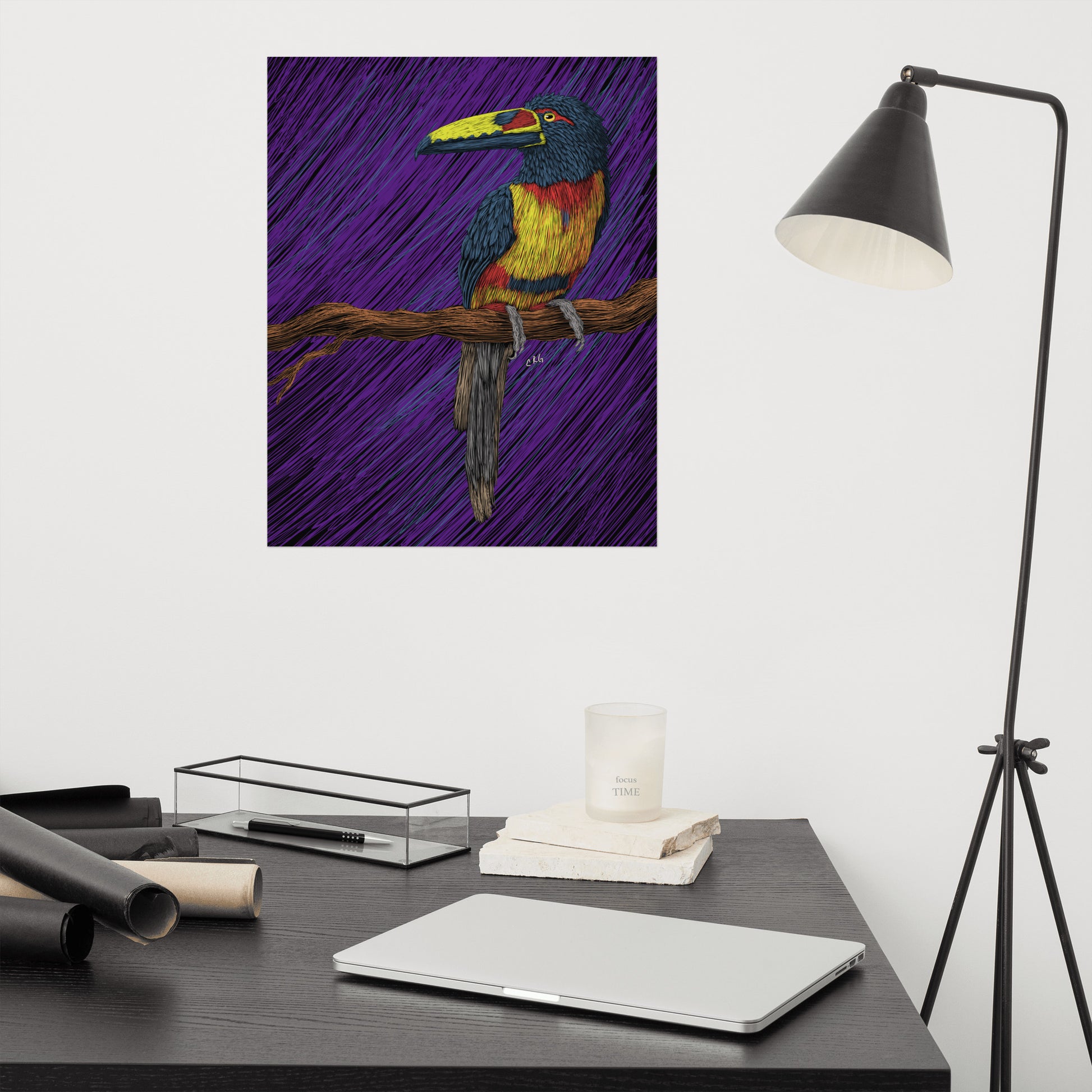 Toucan Art Print