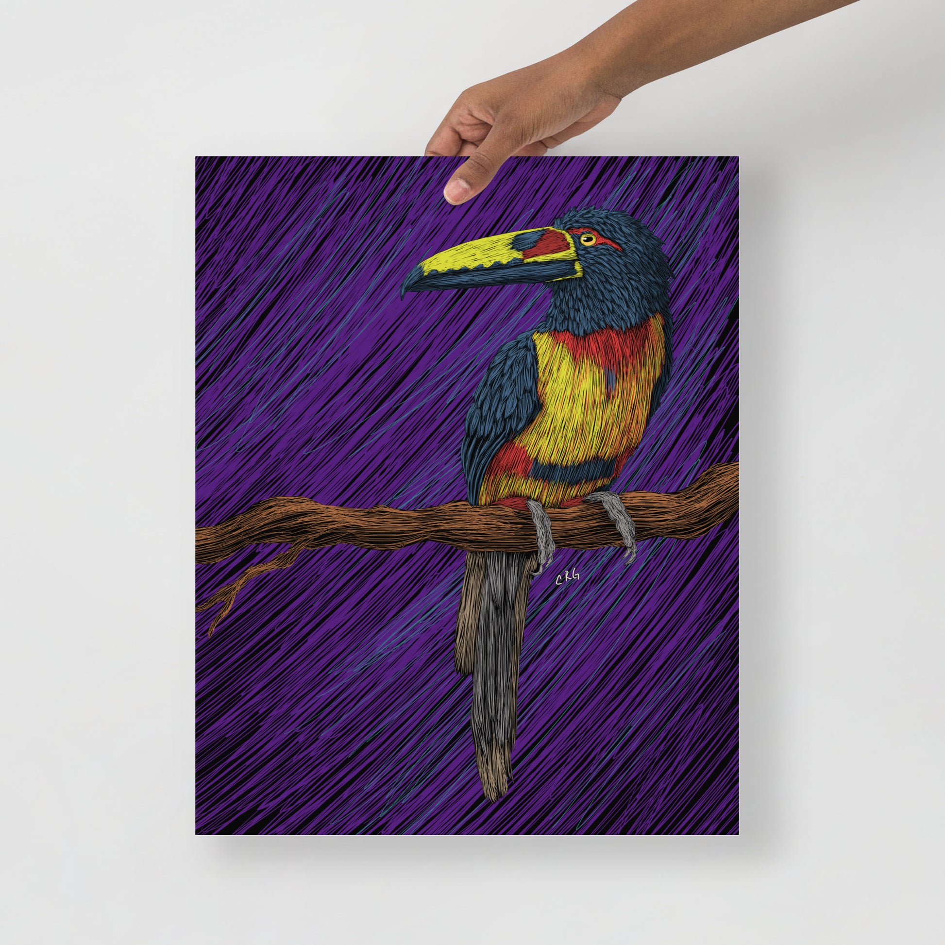 Toucan Art Print