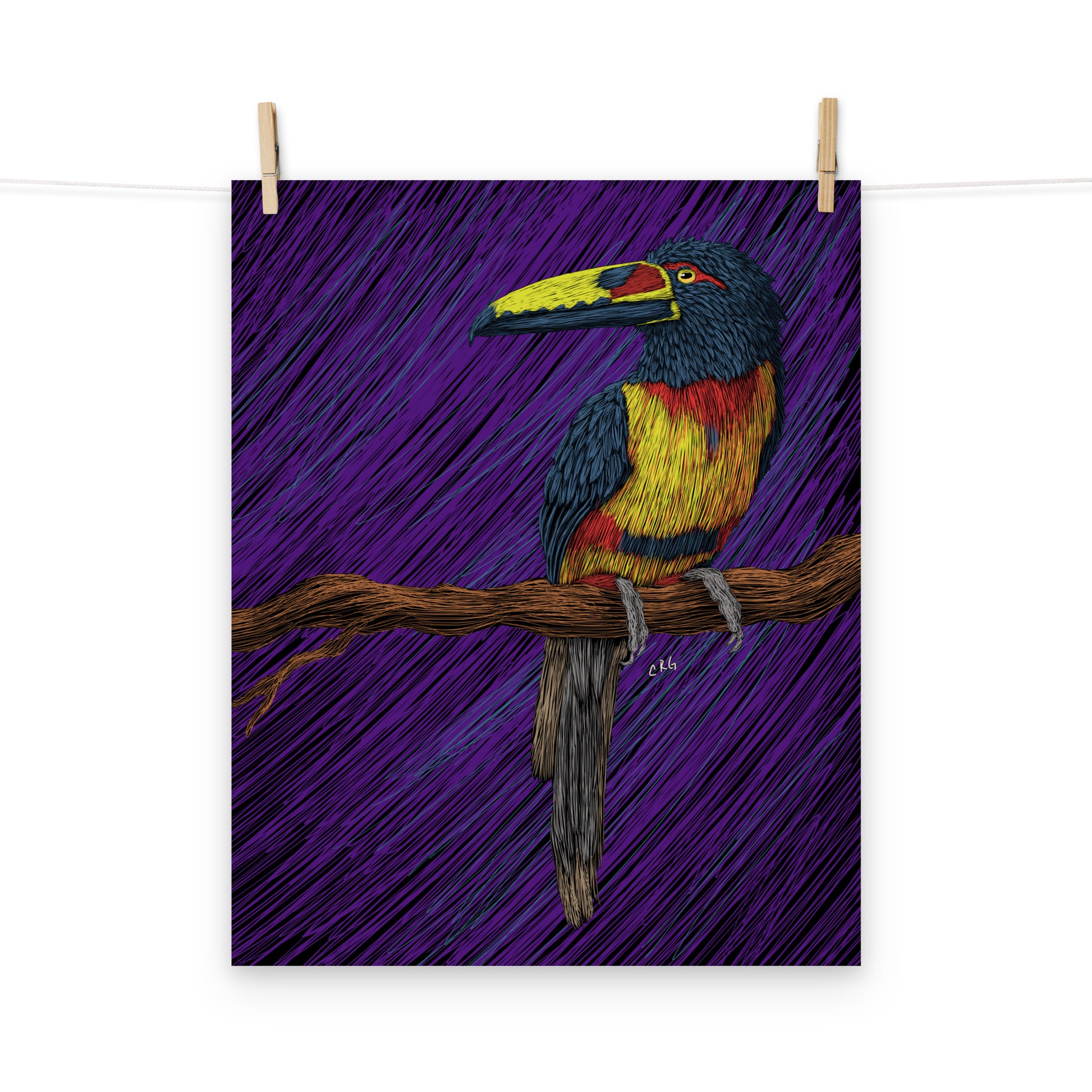 Toucan Art Print