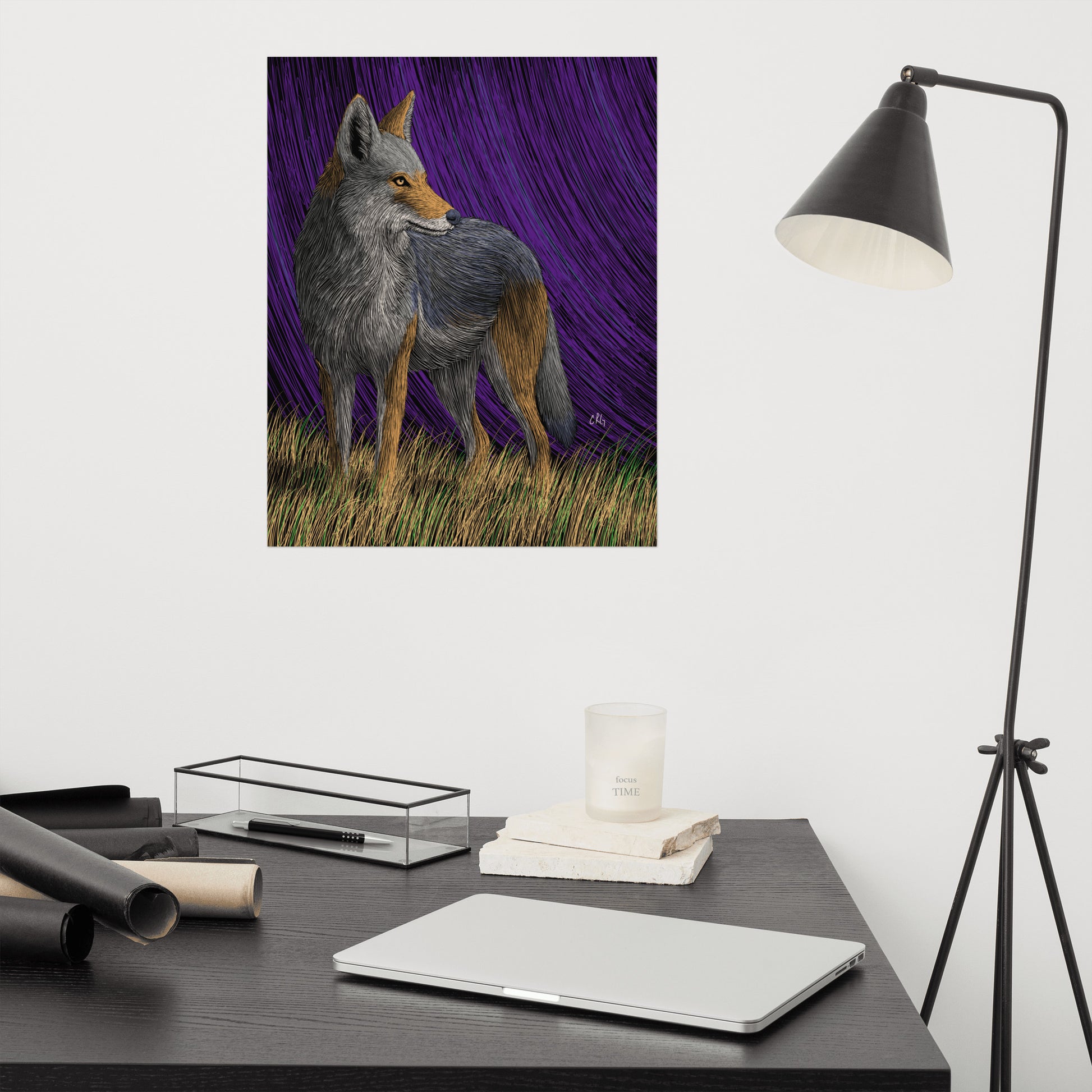 Coyote Art Print