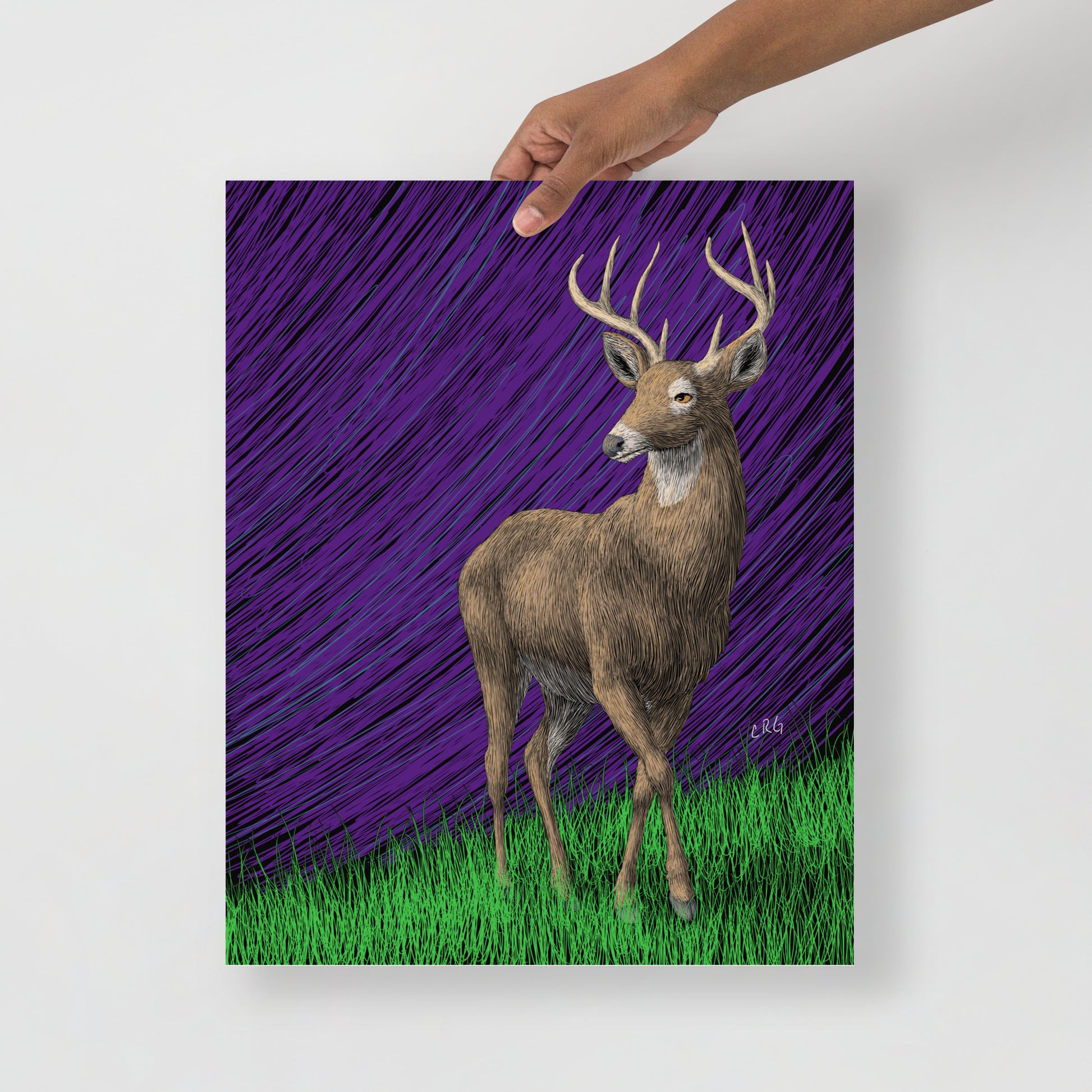 Deer Art Print