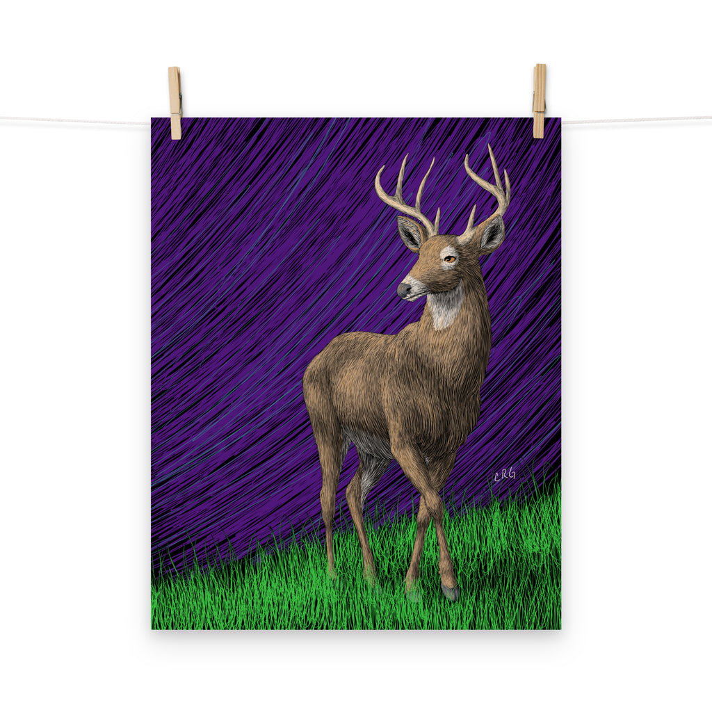 Deer Art Print