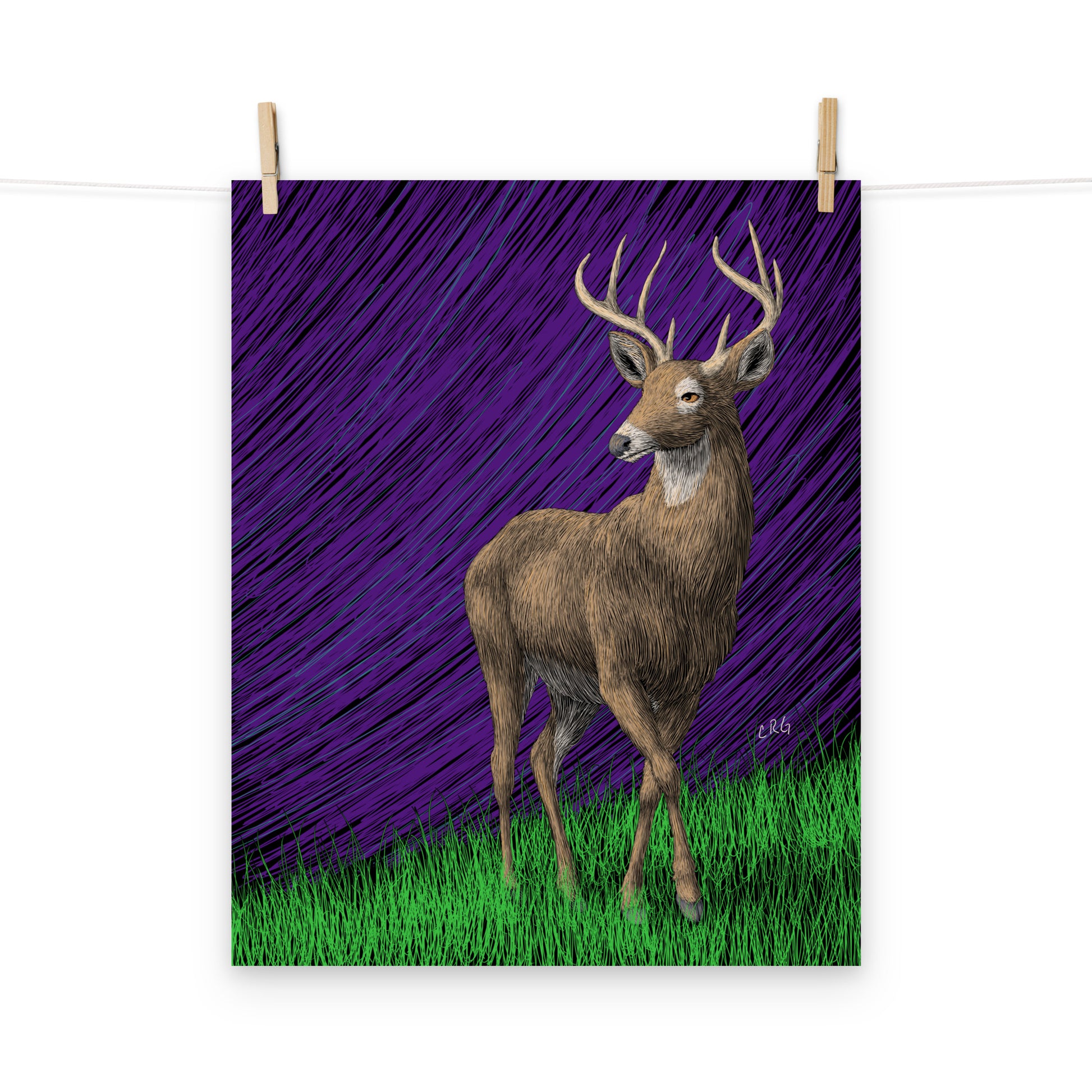 Deer Art Print
