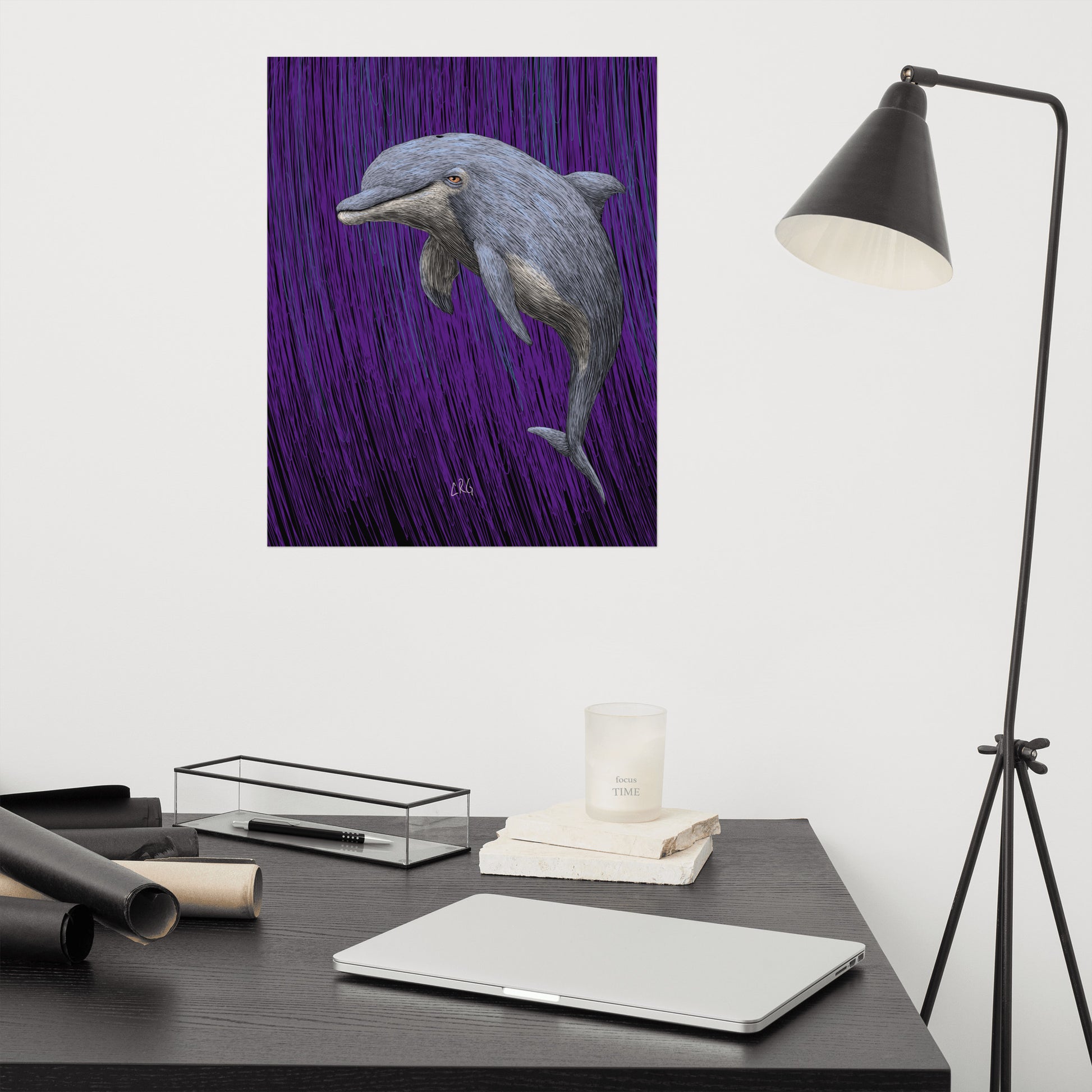 Dolphin Art Print