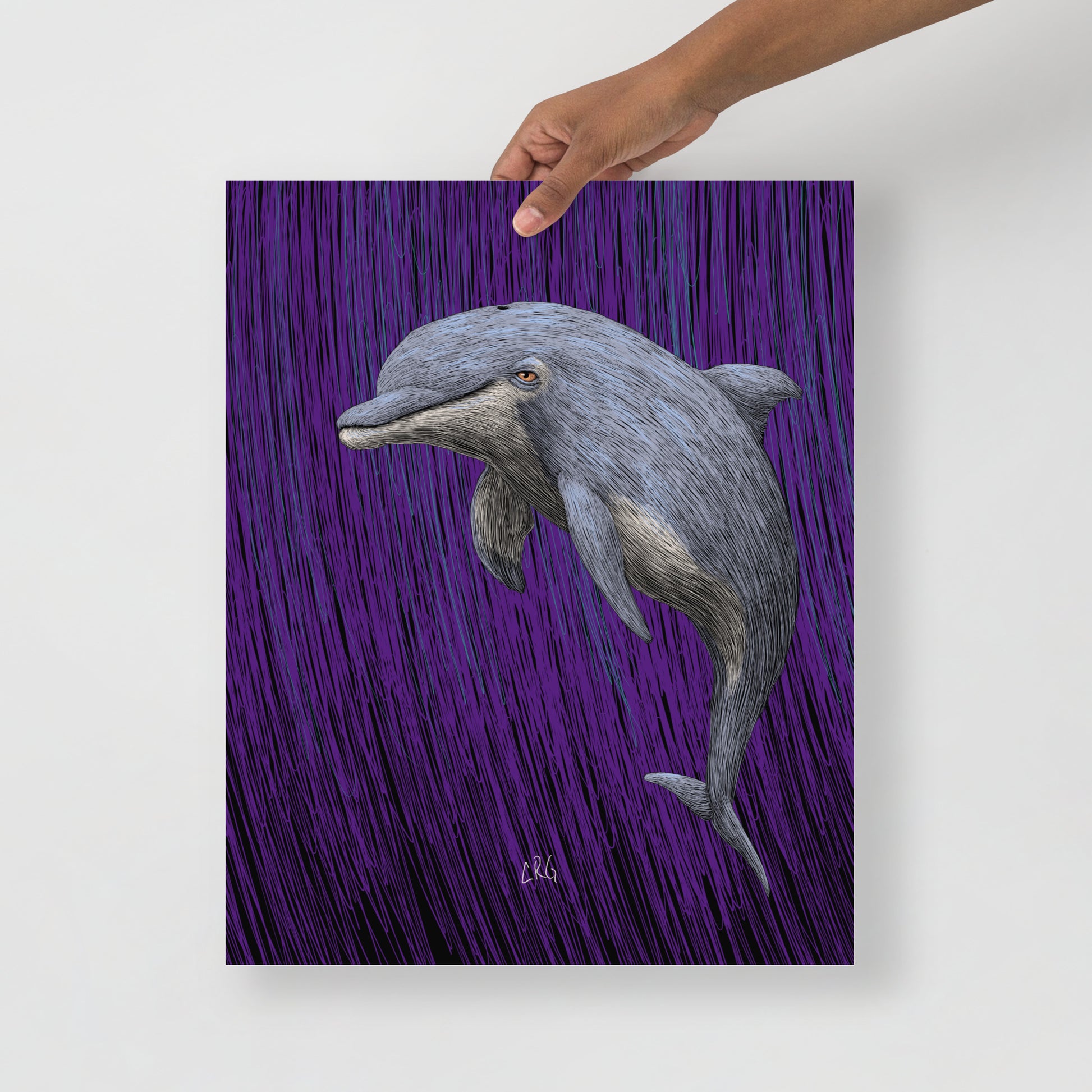 Dolphin Art Print