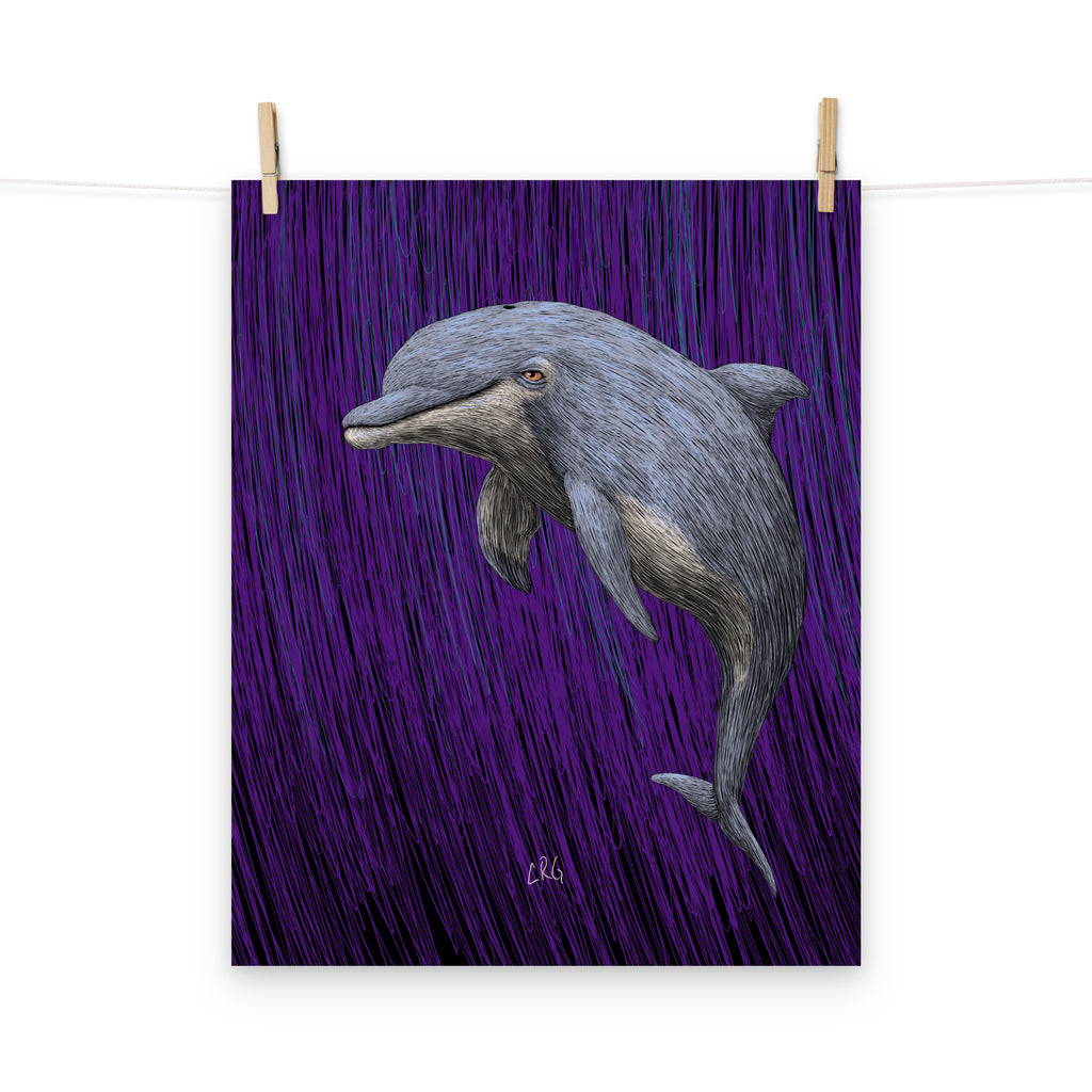 Dolphin Art Print
