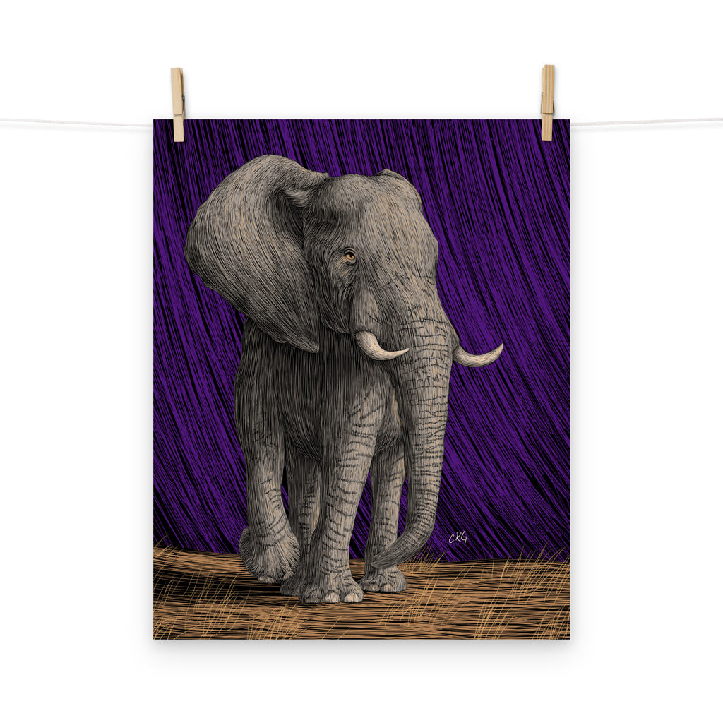 Elephant Art Print