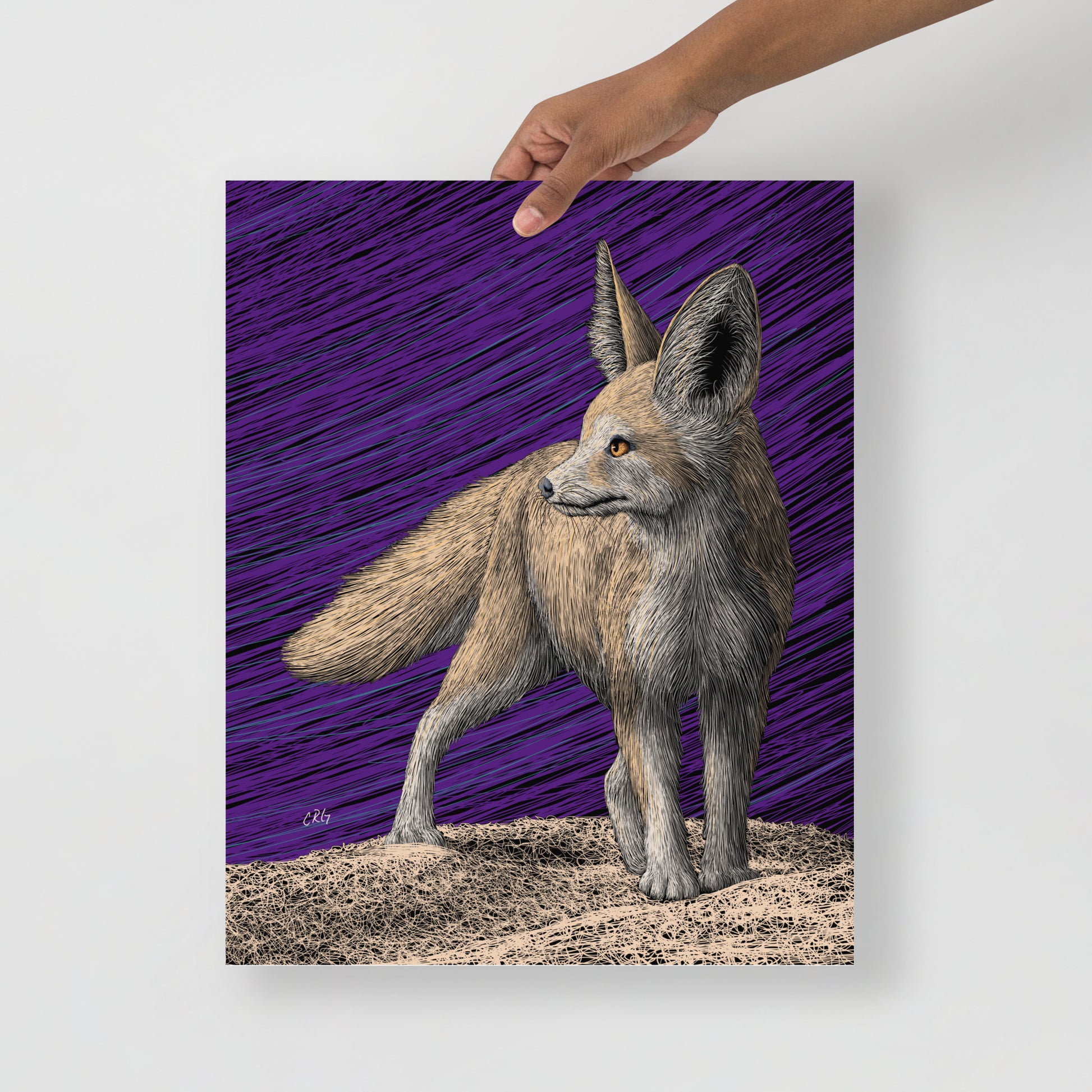 Fennec Fox Art Print