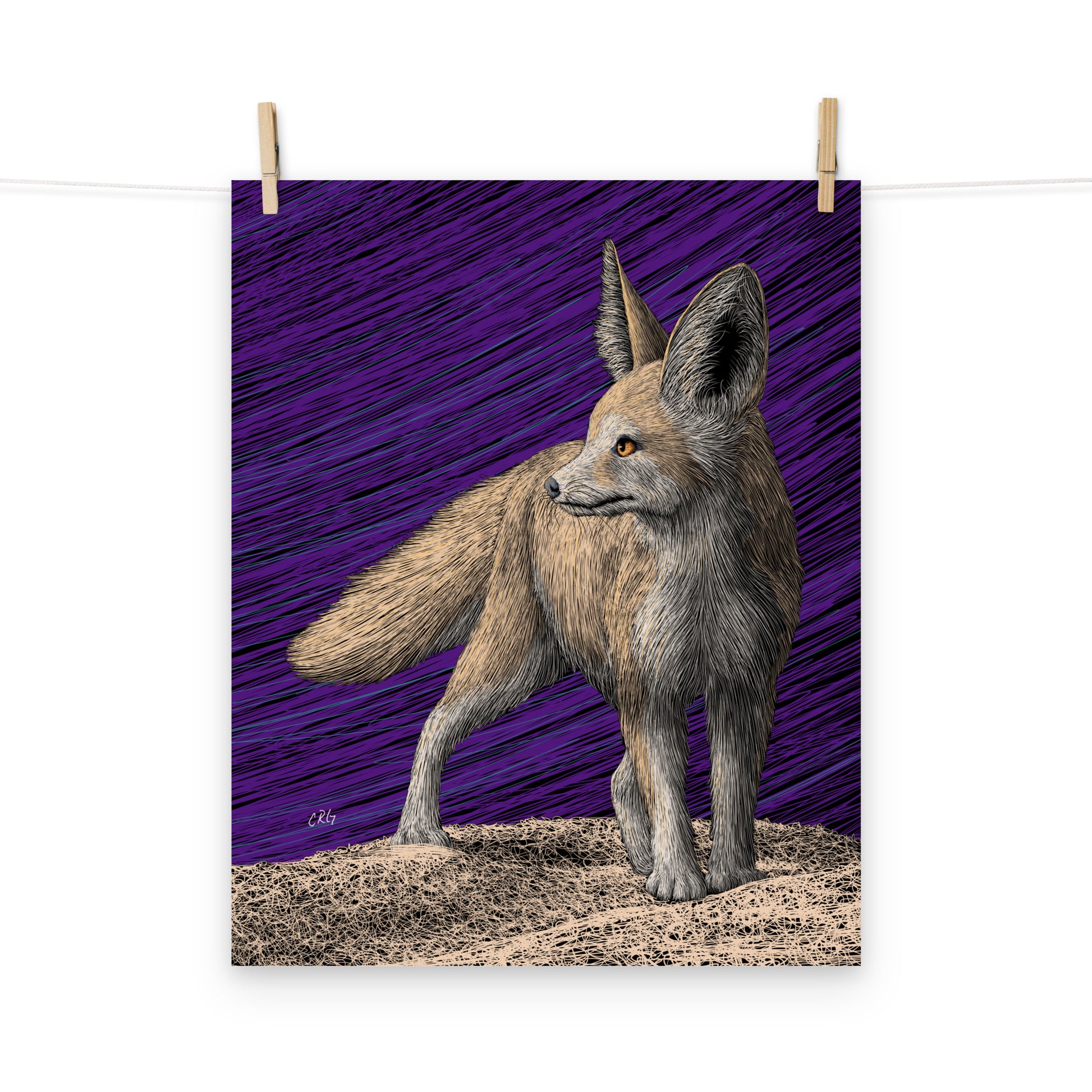 Fennec Fox Art Print