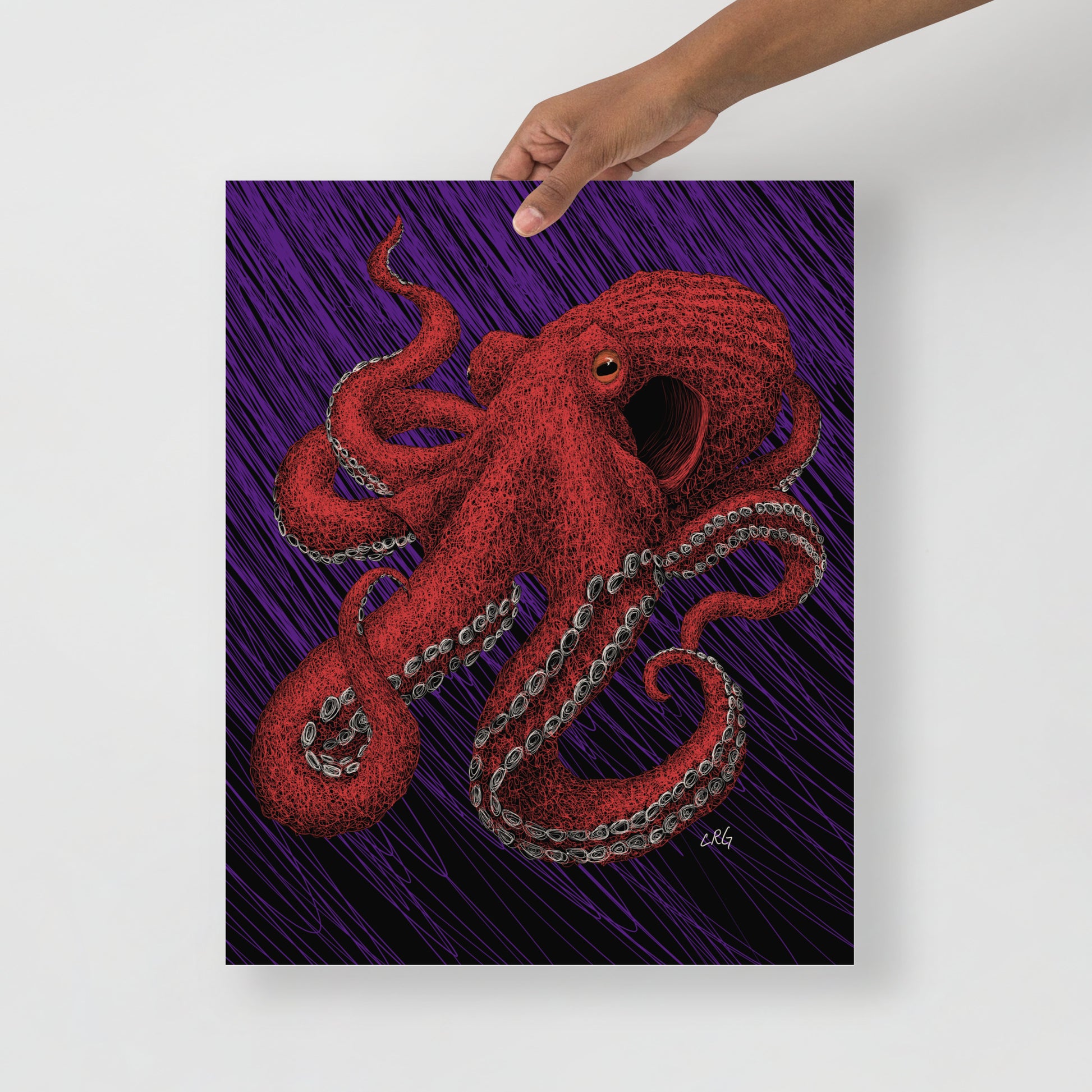 Octopus Art Print