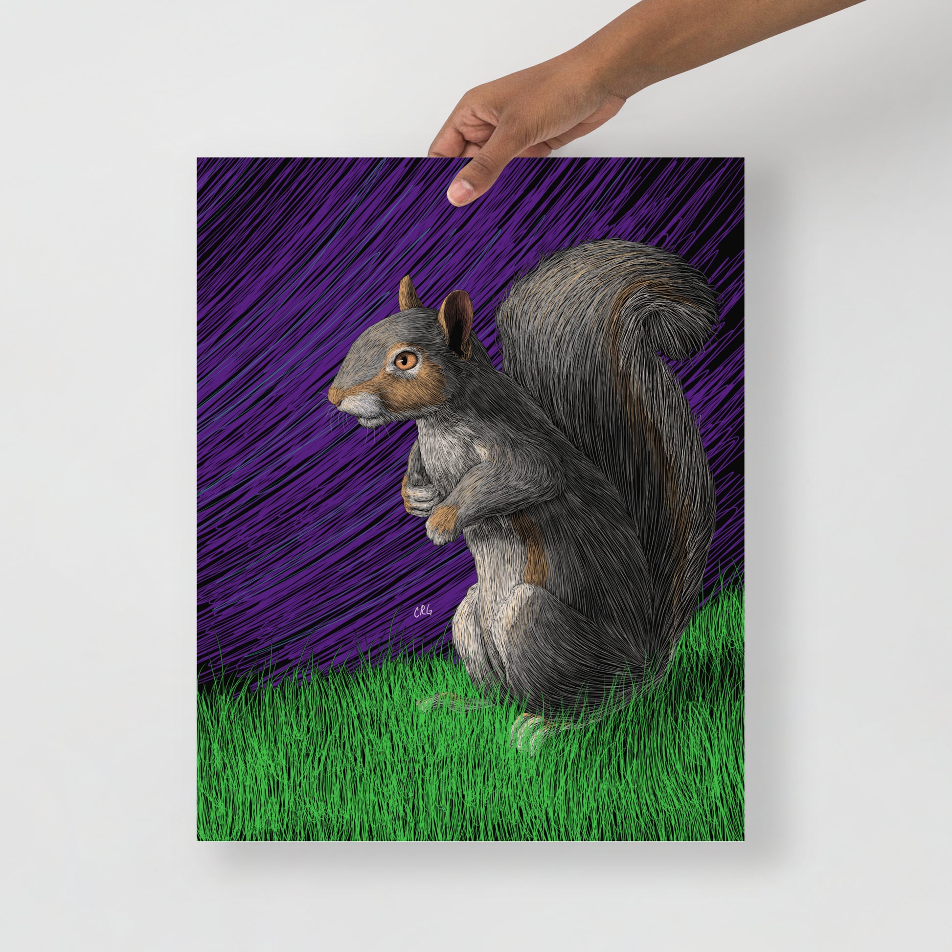 Squirrel Art Print
