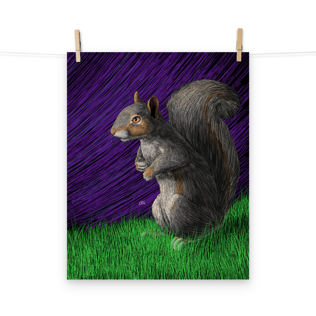 Squirrel Art Print
