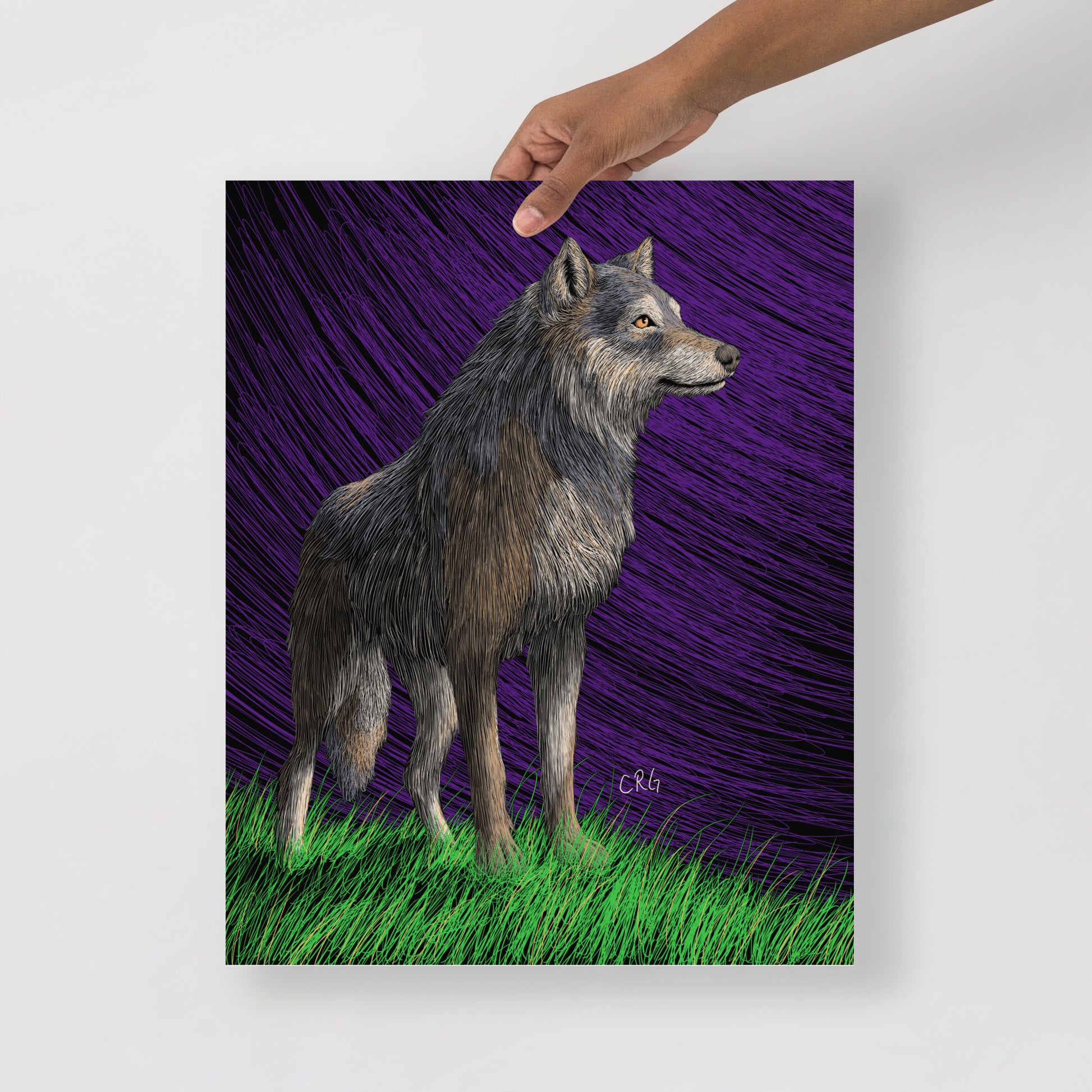Gray Wolf Art Print