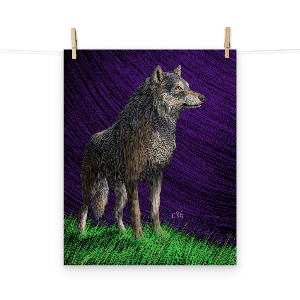 Gray Wolf Art Print