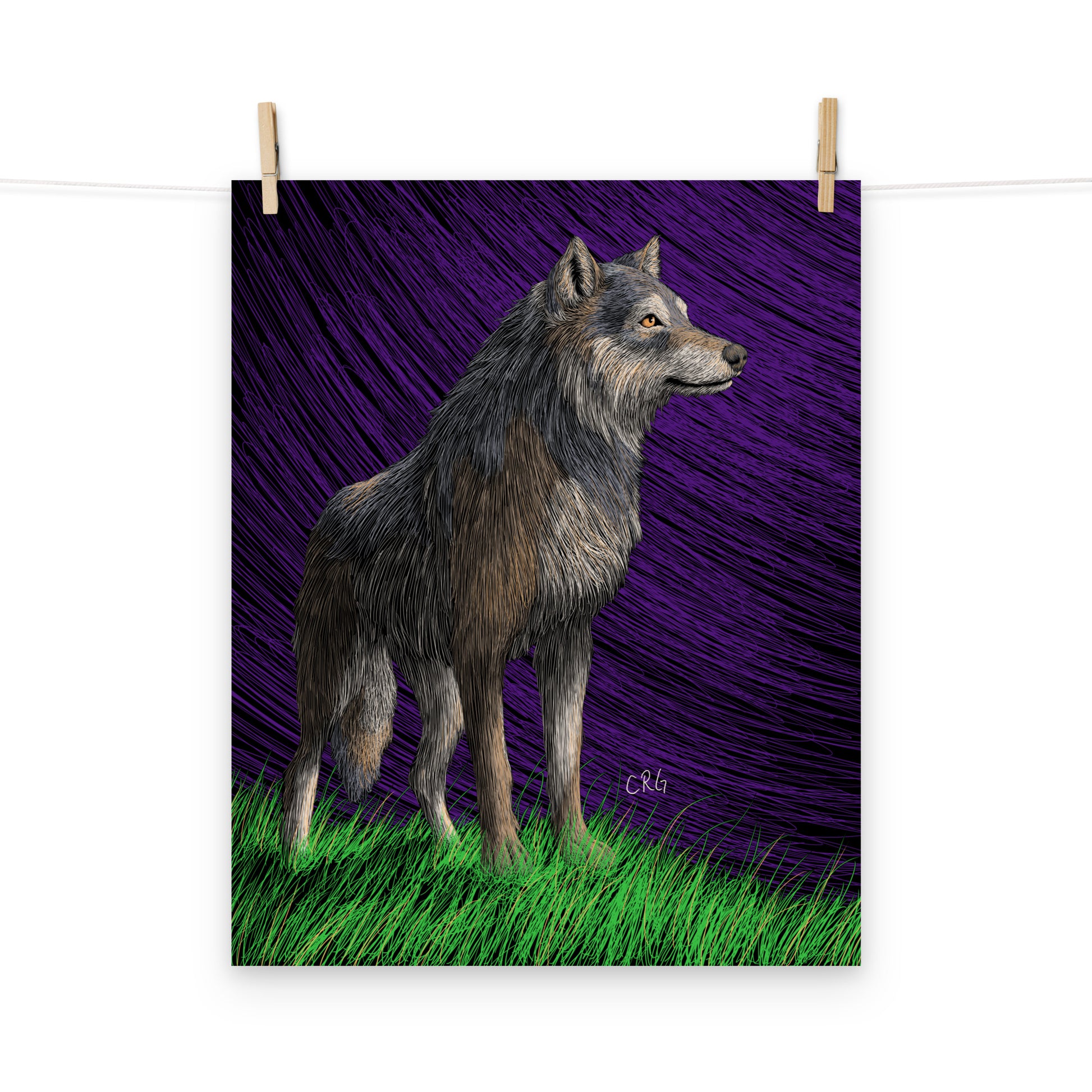 Gray Wolf Art Print