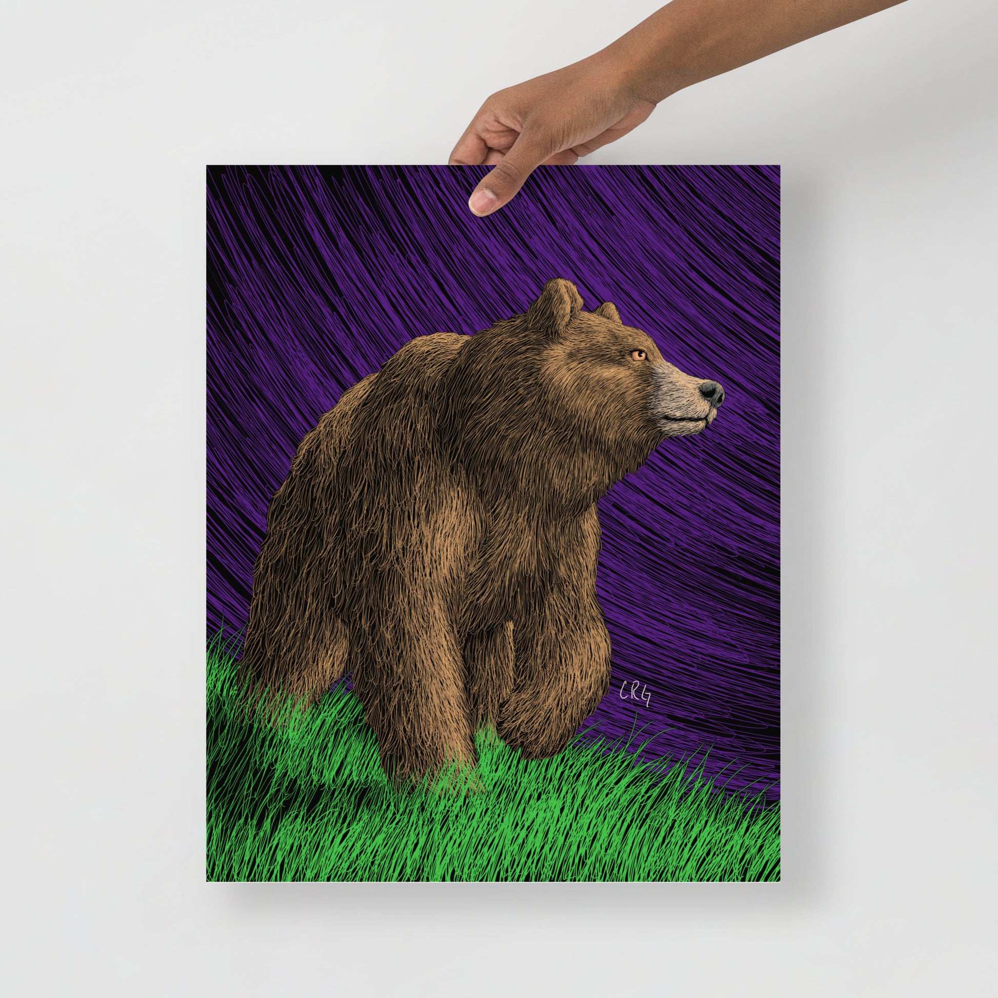 Grizzly Bear Art Print
